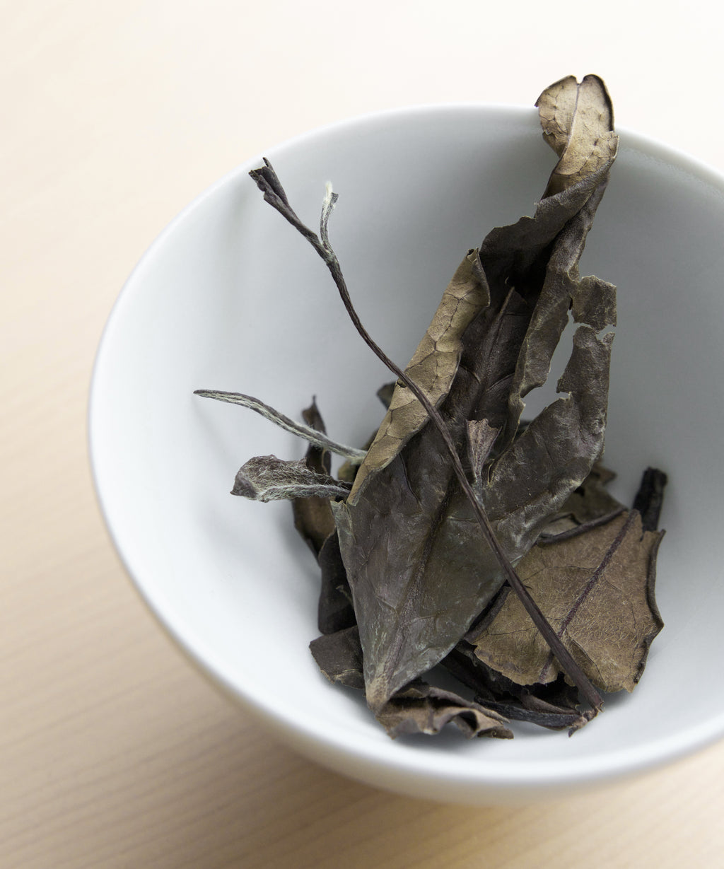 Semi Wild Shou Mei dry leaves — one-bud-three-leaves white tea from old-growth forest, Zhenghe