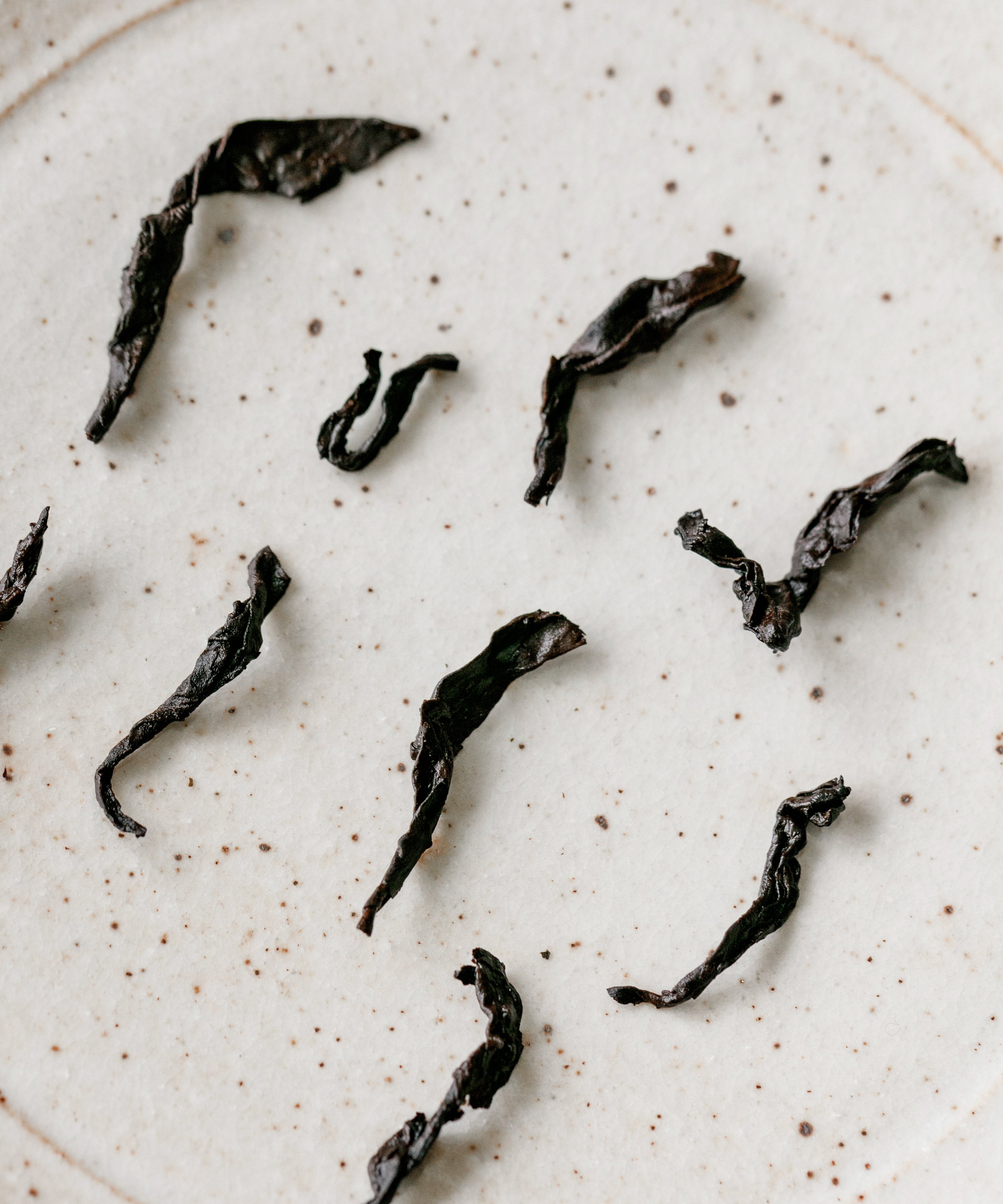 Xigui shou pu'erh by Zhang Tianwen — rare ripe pu'erh from 200-year-old arbor trees, Xigui Village, Lincang