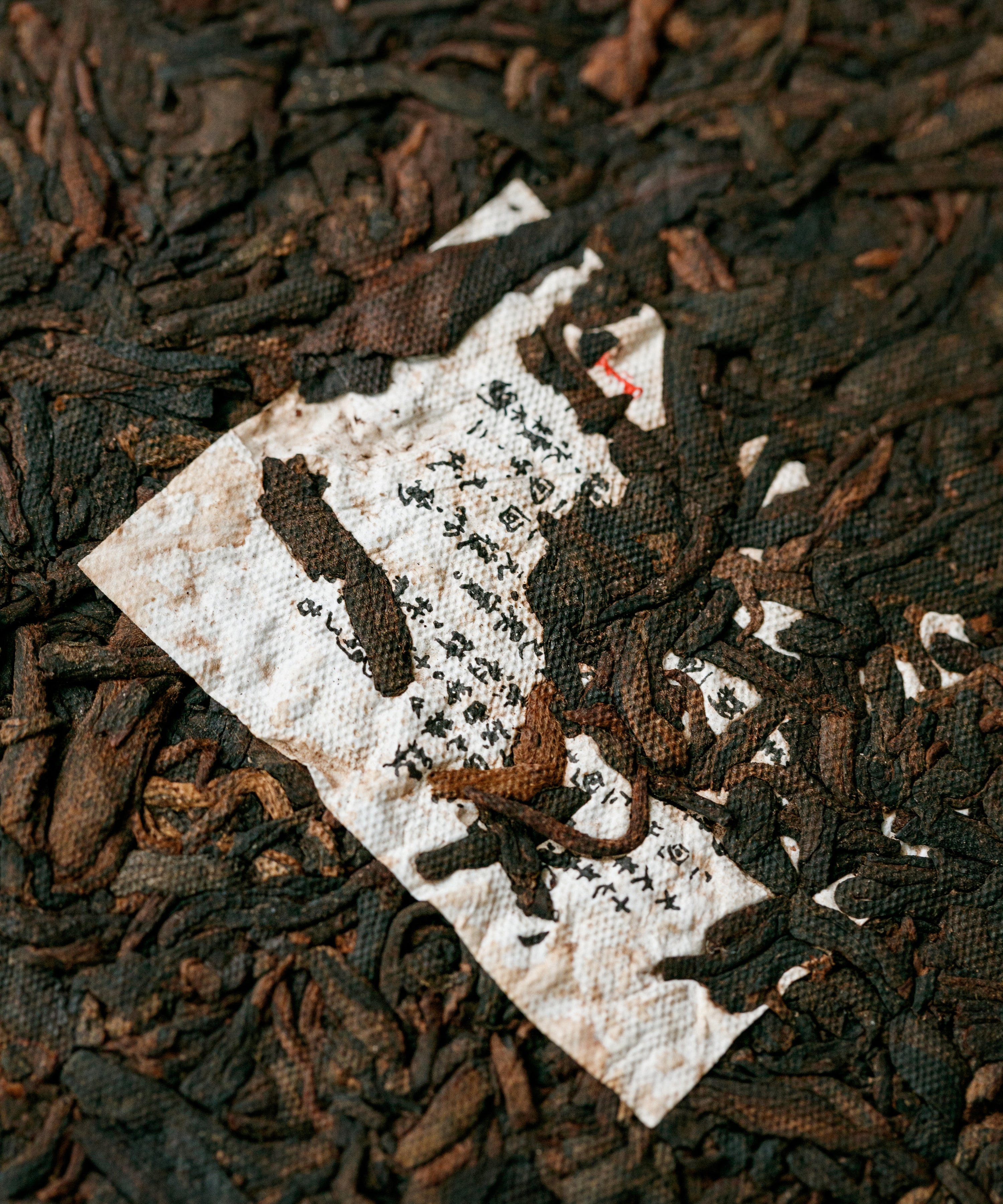 Bulang Mountain shou pu'erh supervised by Zeng Zhixian — Bulangshan and Nanben leaves, Xishuangbanna, Yunnan