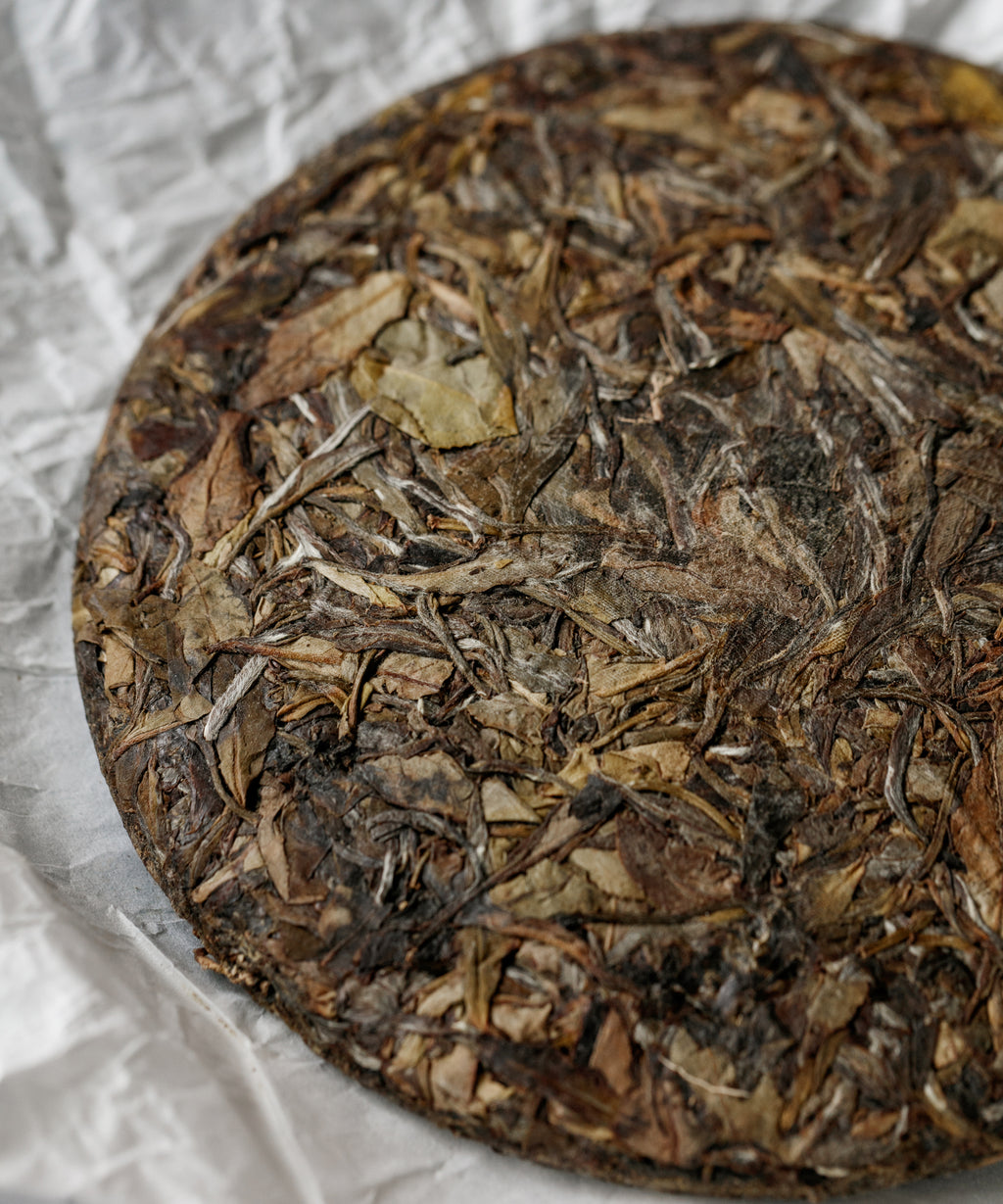 Brewing White Shuixian — experimental white tea from abandoned Shuixian trees, Yongchun, Fujian