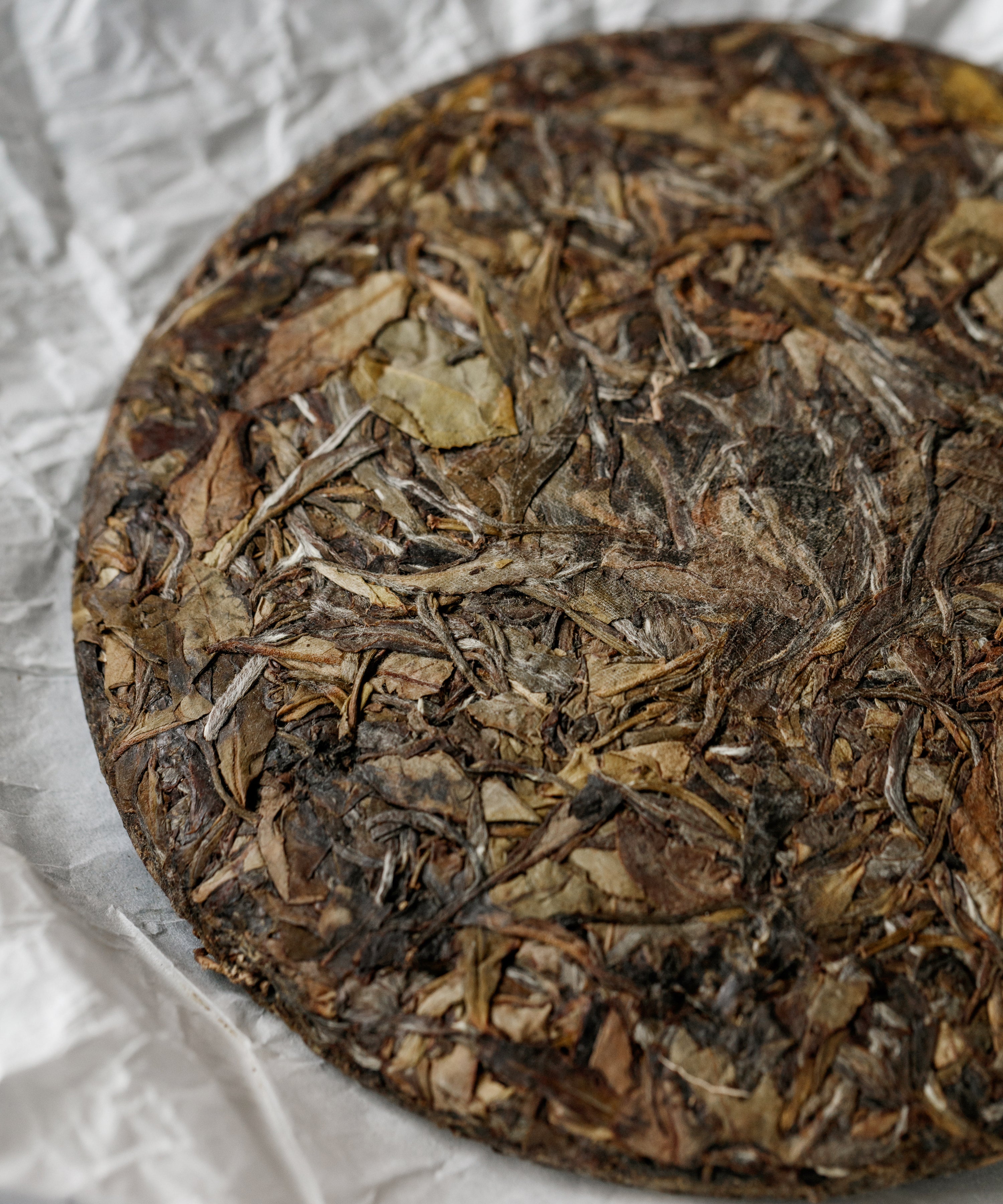 Brewing White Shuixian — experimental white tea from abandoned Shuixian trees, Yongchun, Fujian