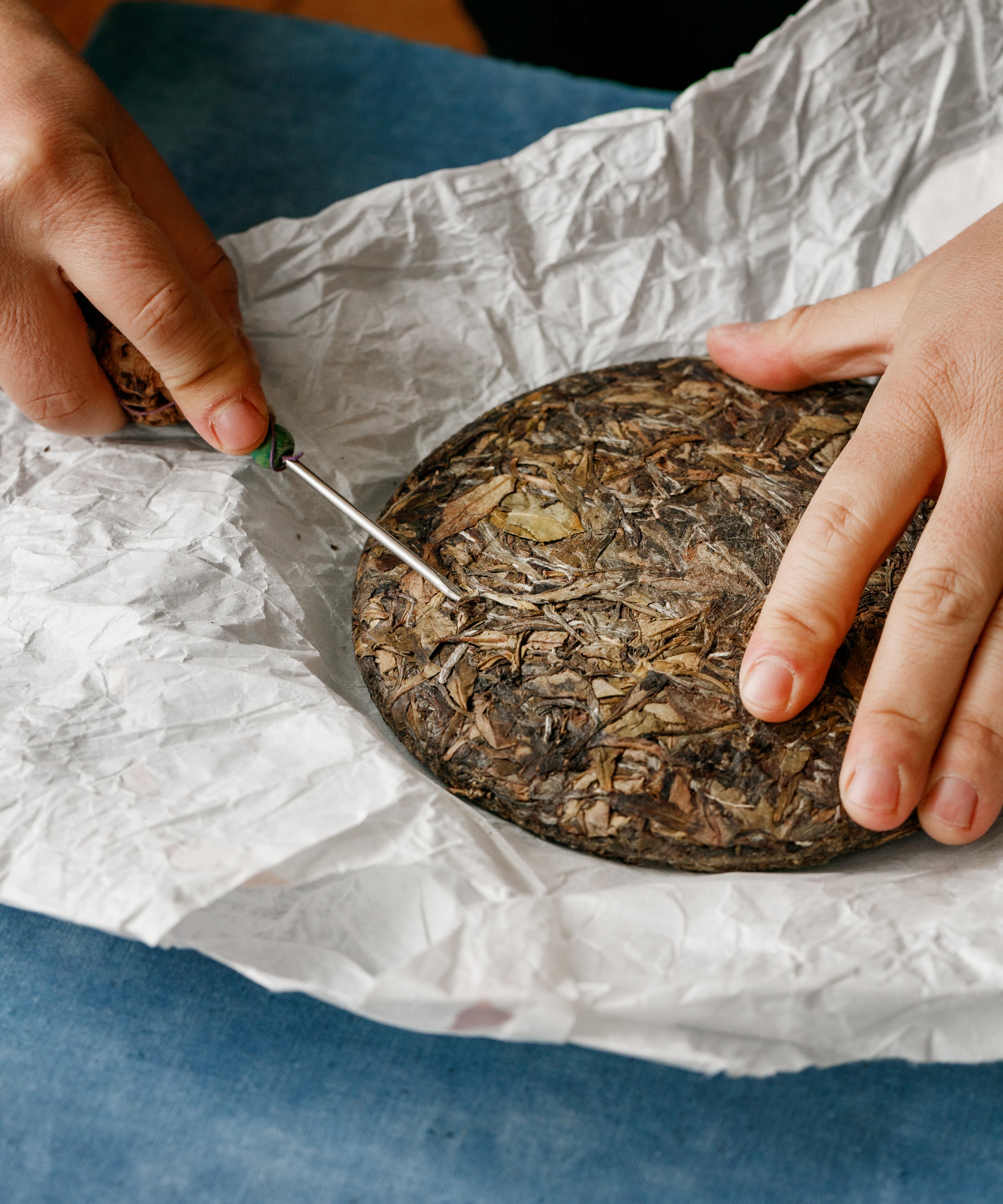 White Shuixian dry leaves — Shuixian oolong leaves crafted as white tea, Yongchun, Fujian