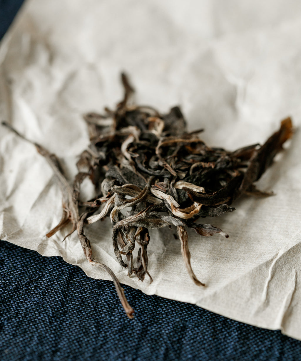 Brewing Mangfei — spacious, broadening sheng pu'erh from ancient trees, Yongde, Lincang