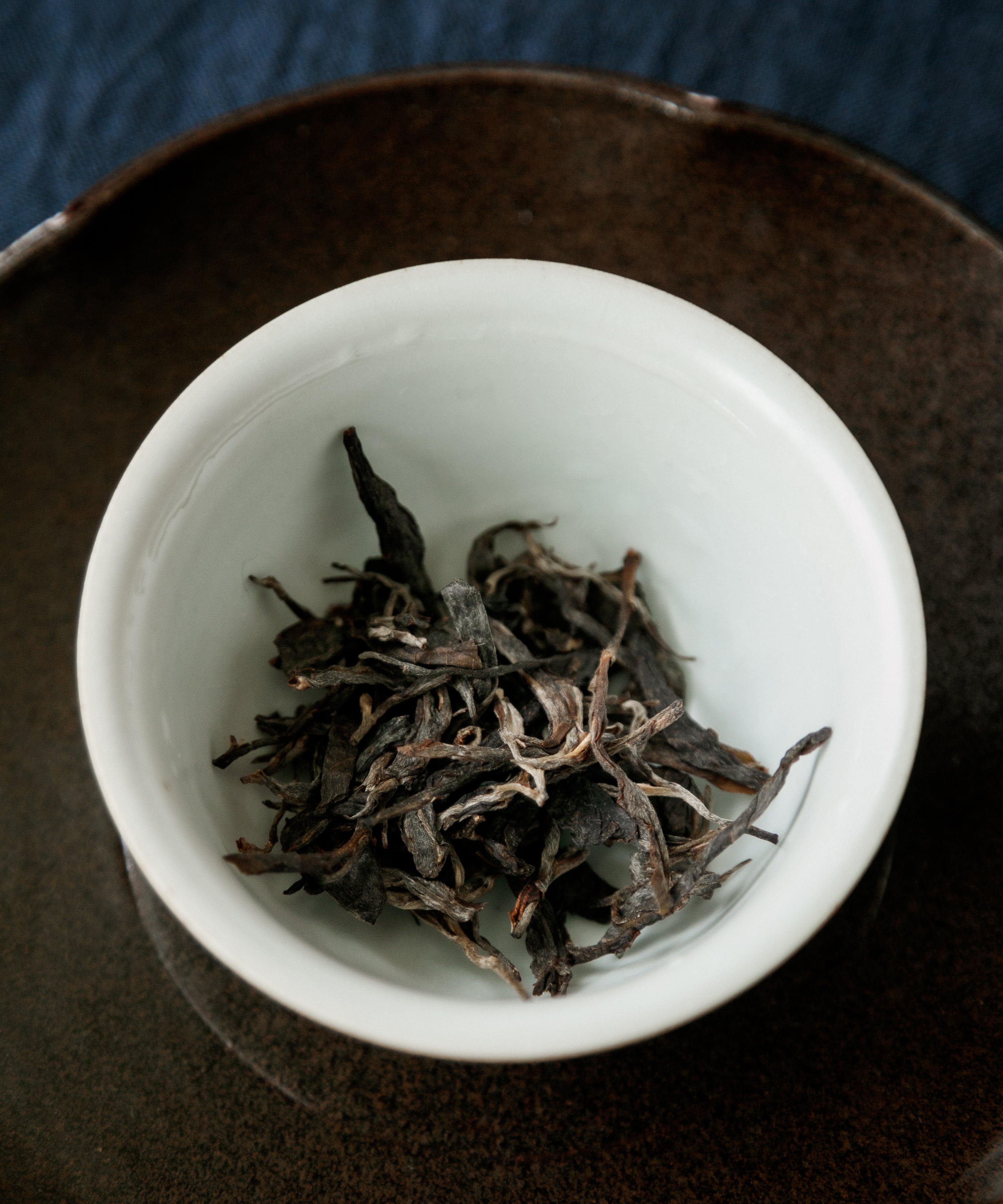 Mangfei liquor — sheng pu'erh with ferment, confection, and chest-opening energy, Lincang
