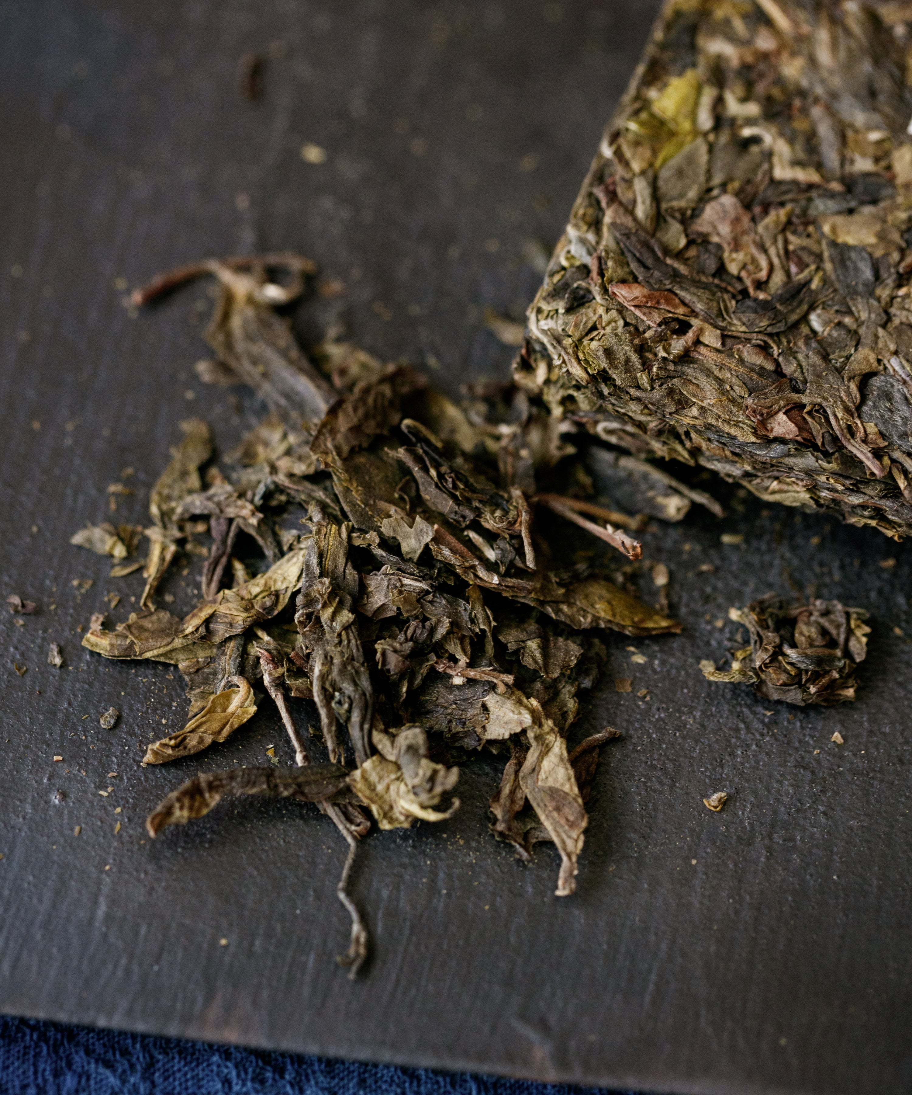 Brewing Ancient Tree Yellow Leaf — Tang Wang's Yellow Leaf sheng pu'erh, Jinggu, Yunnan
