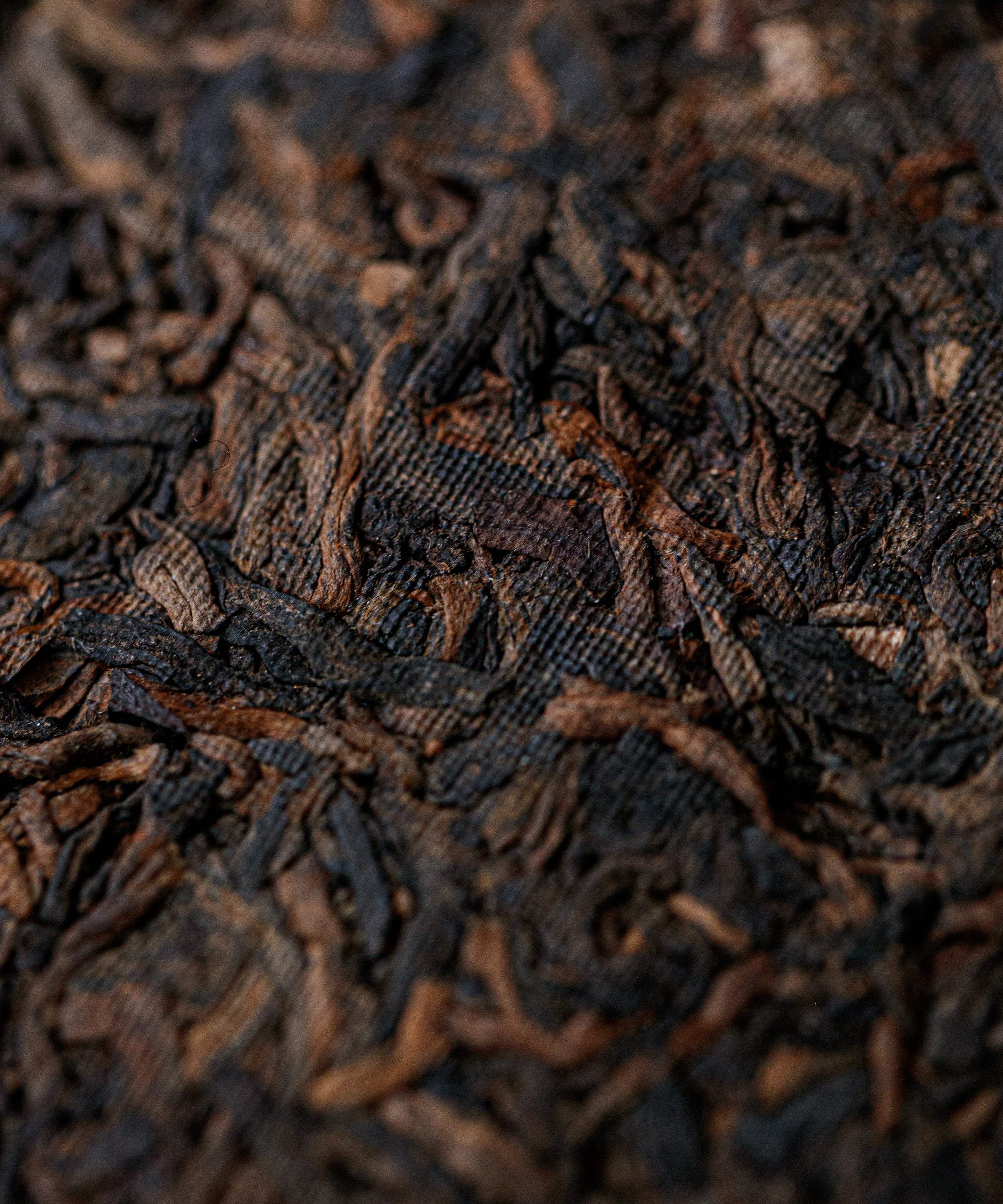 Brewing 2008 Pu'erh & Aged Orange Peel — shou pu'erh blended with 22-year-old mandarin peel