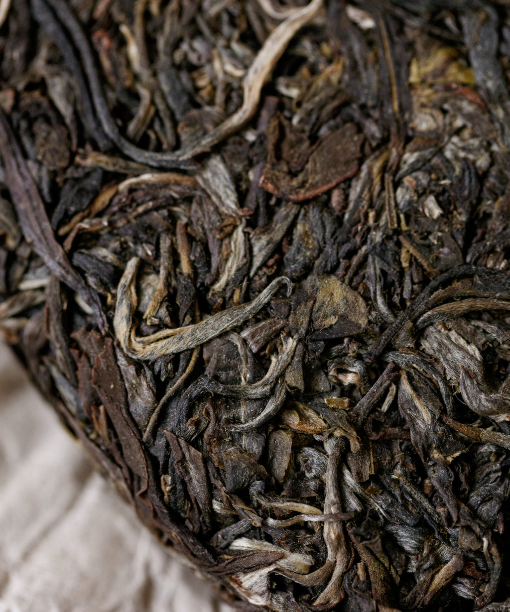 Brewing Sacred Mountains — rare small-leaf sheng pu'erh from two of the six ancient tea mountains