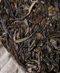 Washan sheng pu'erh — ancient tree raw pu'erh from Awa Mountain, Lincang, Yunnan