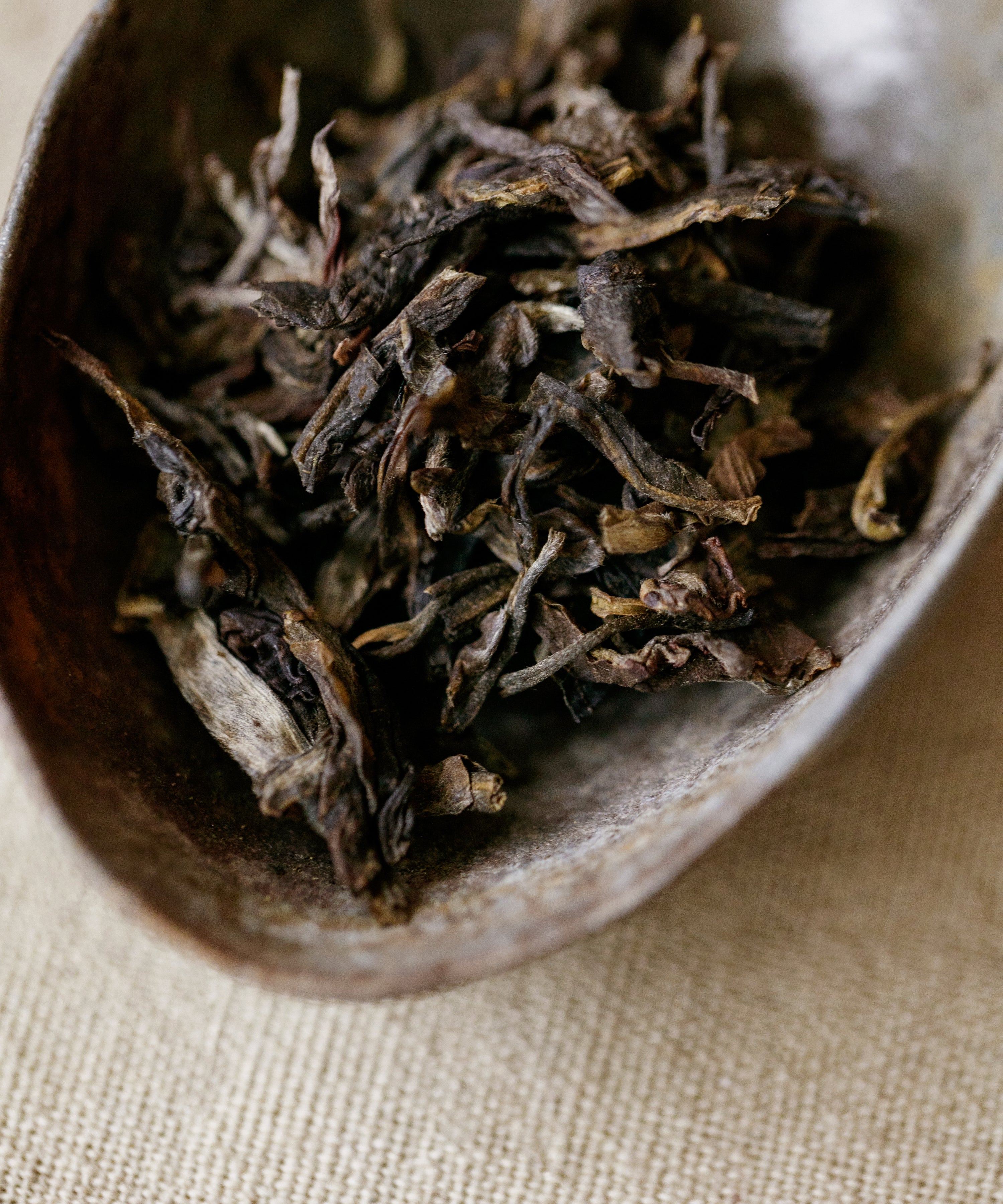 Brewing Washan — fresh, uncomplicated sheng pu'erh from Awa Mountain, Lincang, Yunnan