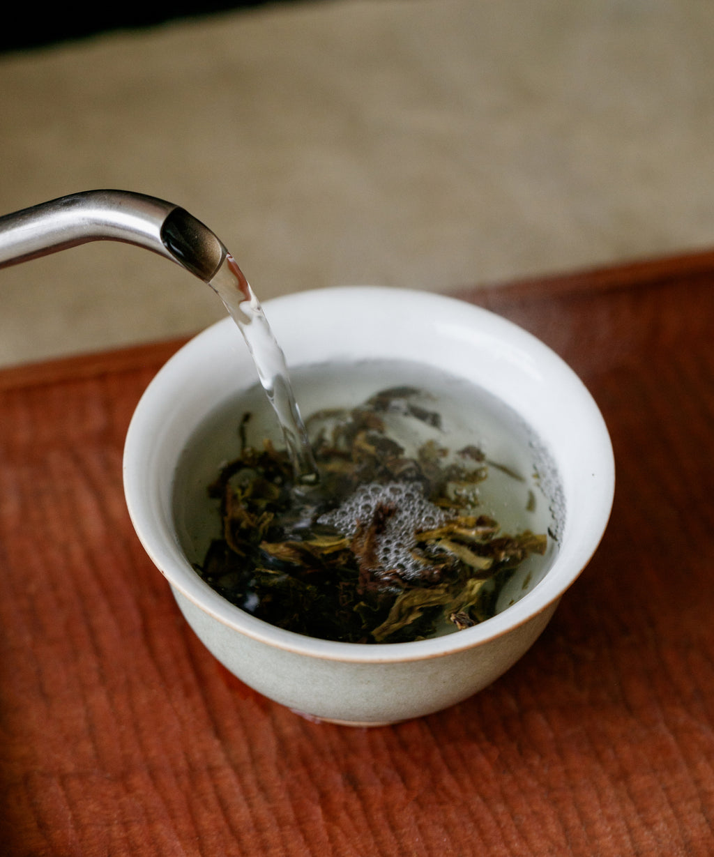 Sacred Mountains wet leaves after brewing — small-leaf sheng pu'erh, Xishuangbanna, Yunnan