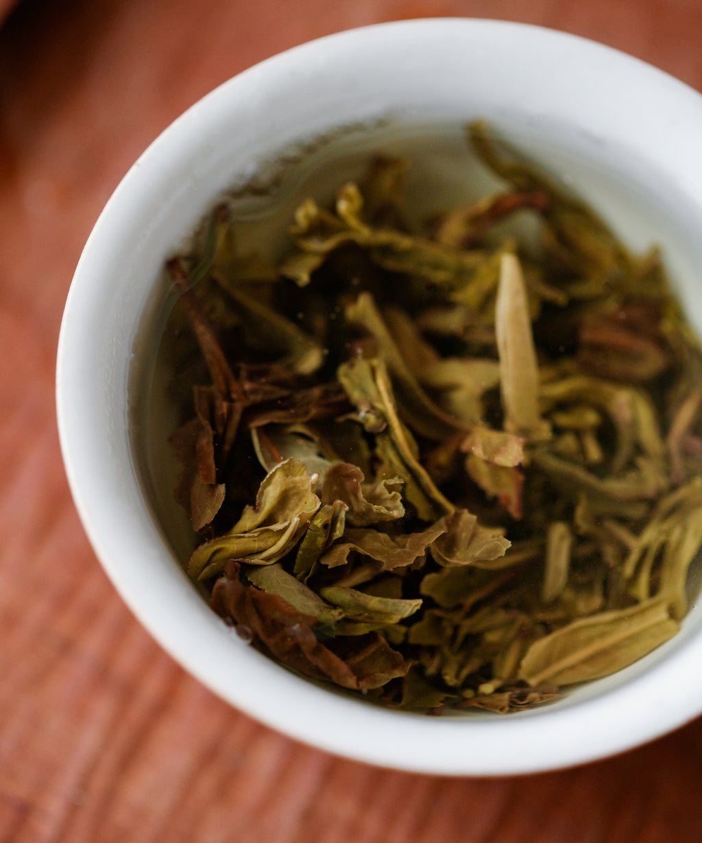 Washan wet leaves — ancient tree sheng pu'erh from Awa Mountain, Lincang, Yunnan