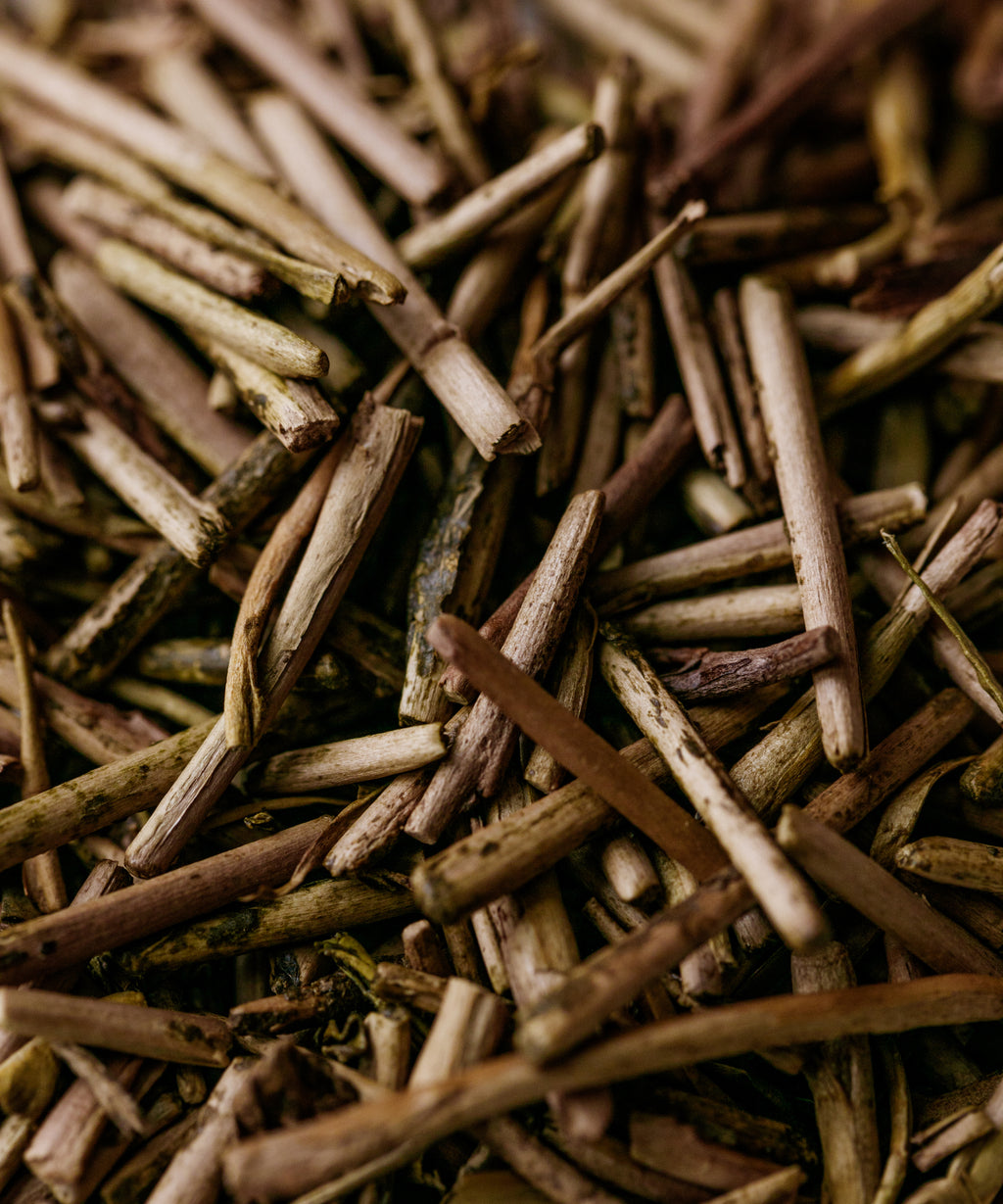 Kenjo Kaga Bocha by Maruhachi Tea Factory — premium first harvest stem tea, Kaga, Ishikawa