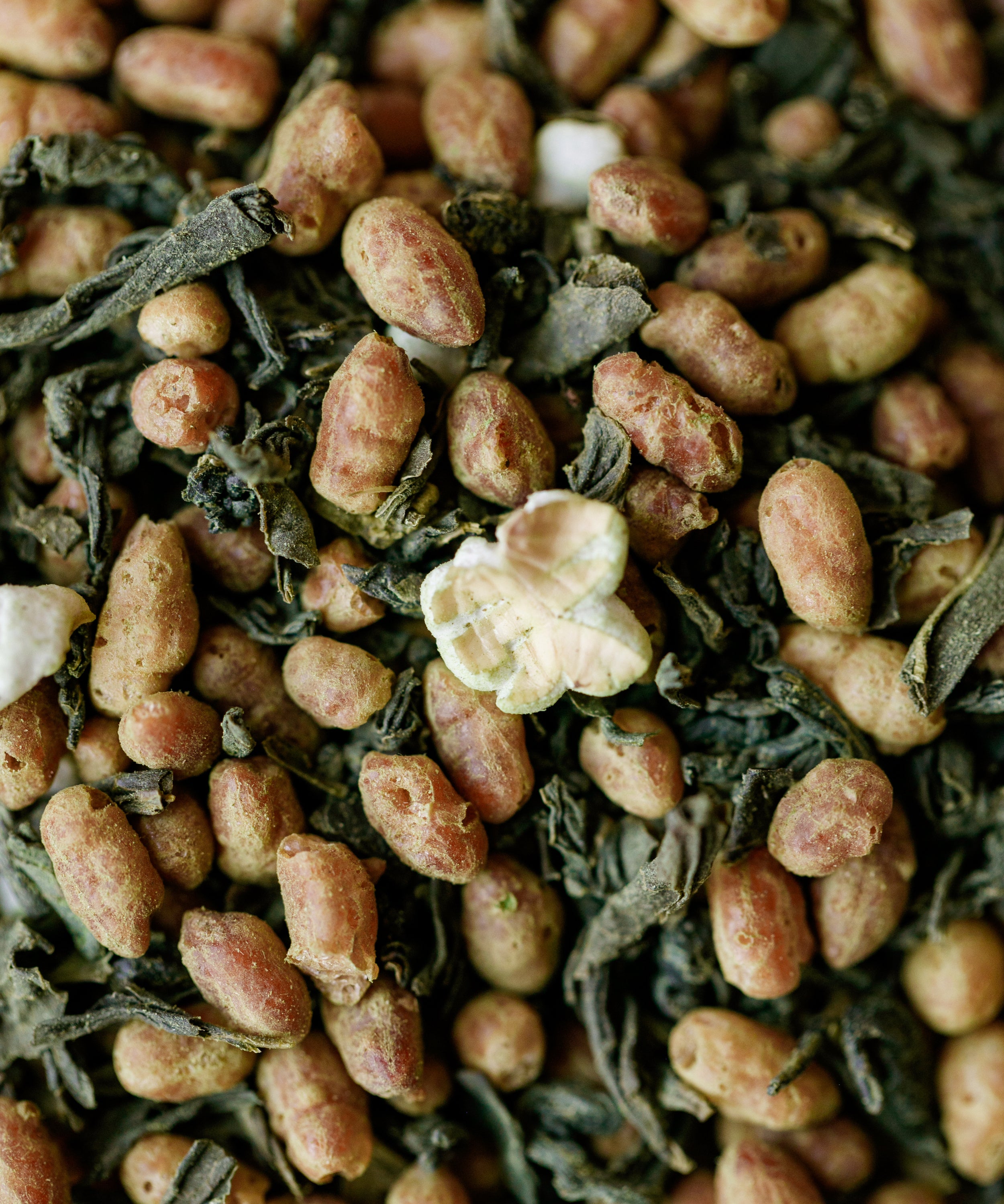 Yakushima Mochi Rice Genmaicha — organic green tea with brown mochi rice, Yakushima