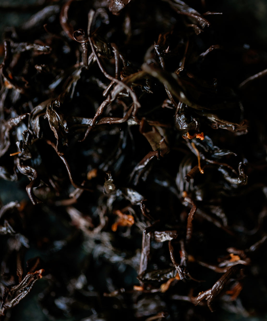 Osmanthus Laoshan Black