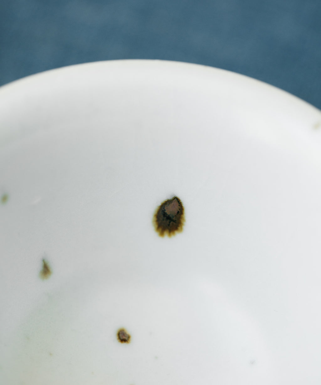 Azure Green Gaiwan