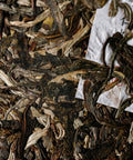 Ancient Big White pu'erh by Mr. Tang — rare Jinggu Dabai from 400-year-old trees, Yunnan
