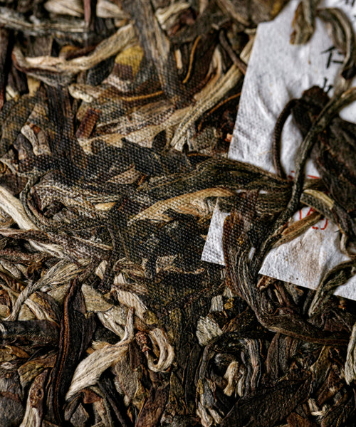 Ancient Big White pu'erh by Mr. Tang — rare Jinggu Dabai from 400-year-old trees, Yunnan