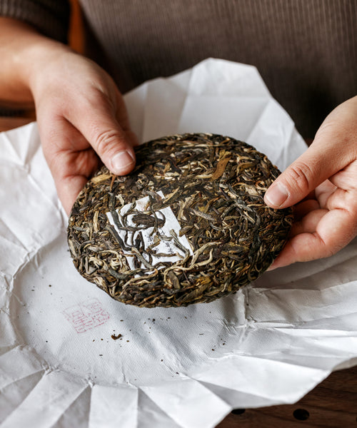 Ancient Big White dry leaves — rare Jinggu Dabai varietal pu'erh from Yangta Village, Jinggu