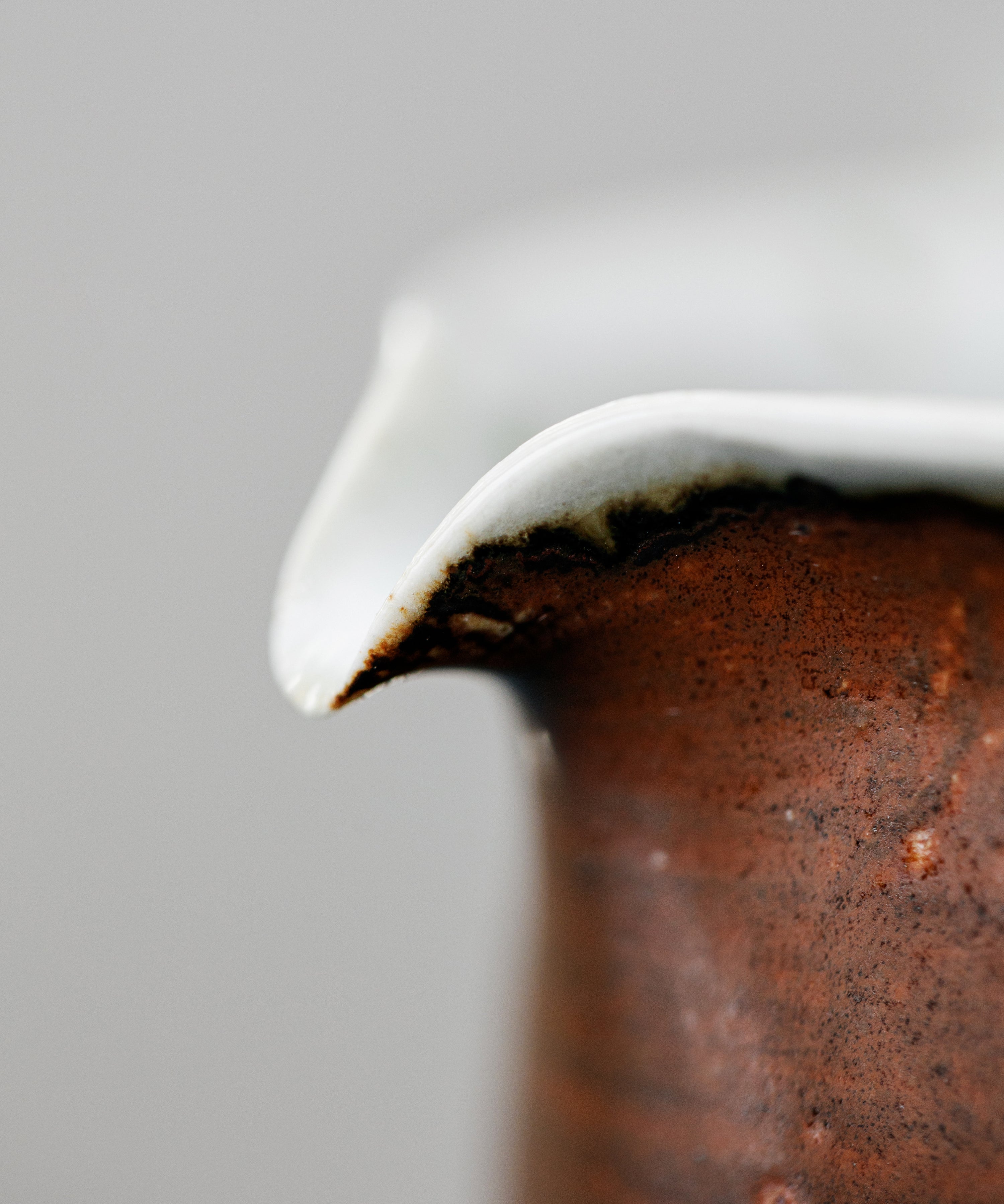 Brown Pitcher Type I