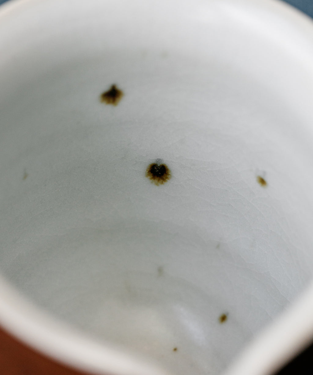 Brown Pitcher Type I