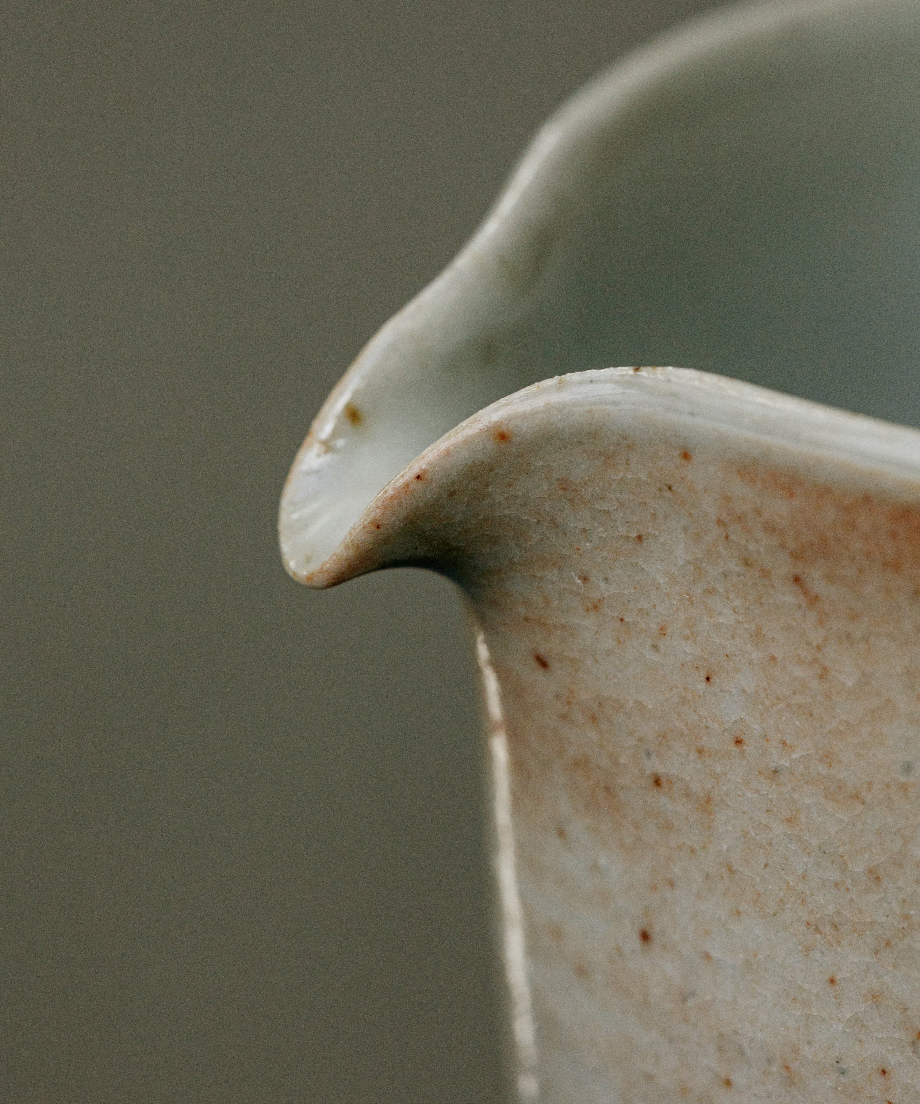 Sunrise Pitcher Type I
