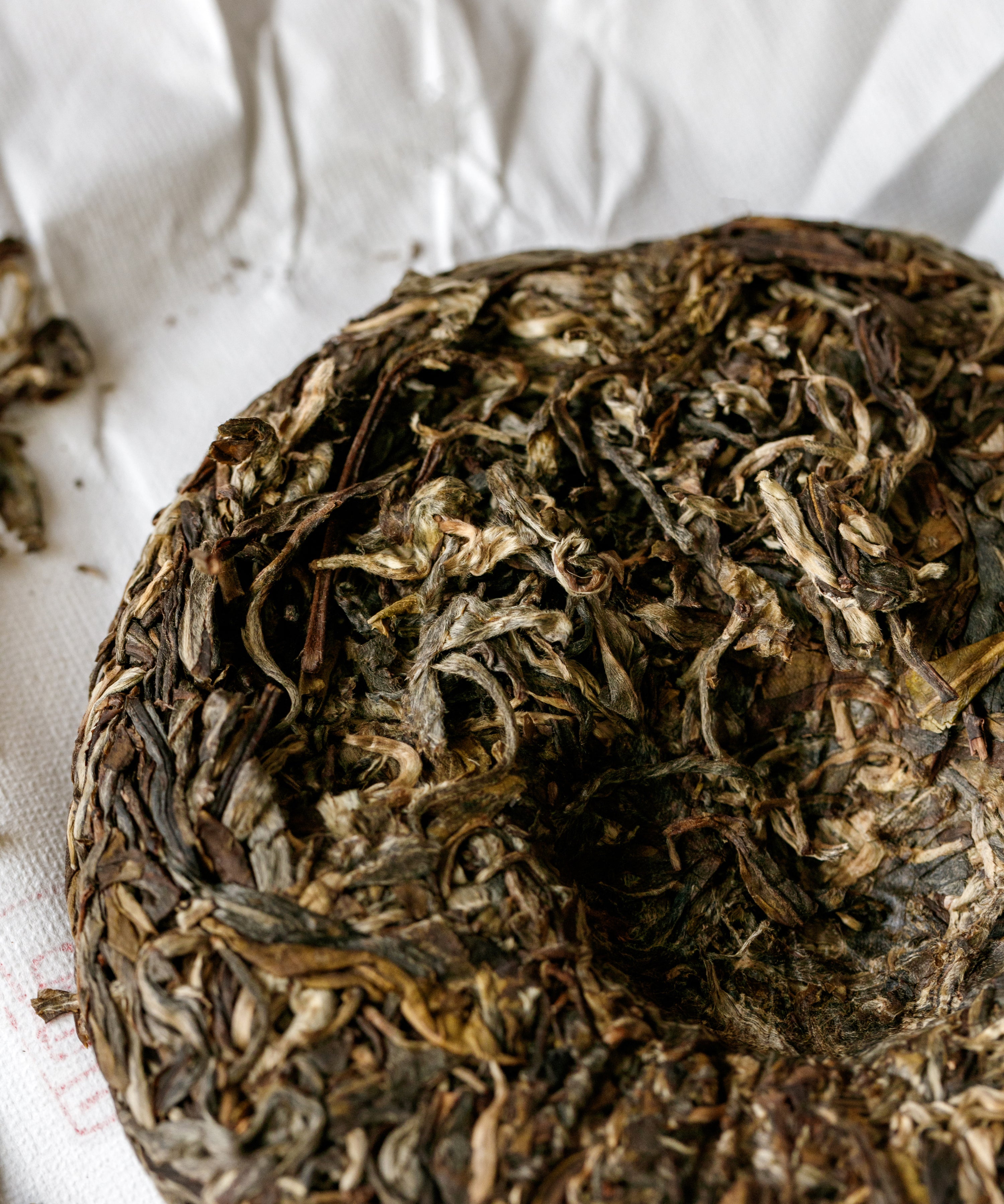 Brewing Ancient Big White — Mr. Tang's rare pu'erh from ancient Jinggu Dabai trees, Yunnan