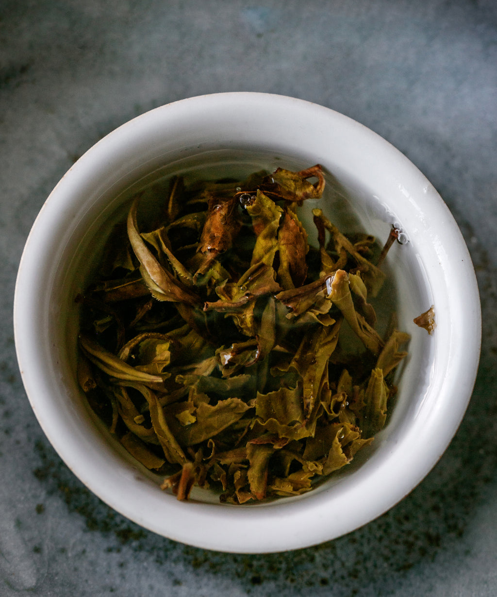 Ancient Big White liquor — soft gold, viscous pu'erh with lemon-yogurt notes, Jinggu, Yunnan