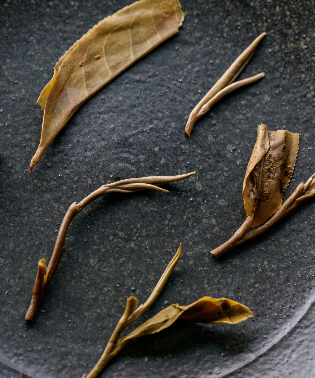 Ancient Gold Needle