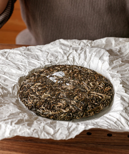 Ancient Gold Needle dry leaves — Jinggu Dabai yellow bud pu'erh, Yangta Village, Yunnan
