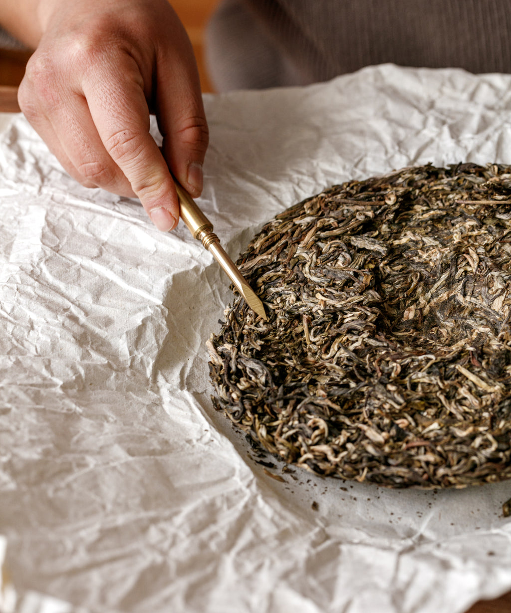 Brewing Ancient Gold Needle — Mr. Tang's rare pu'erh from ancient Jinggu Dabai trees