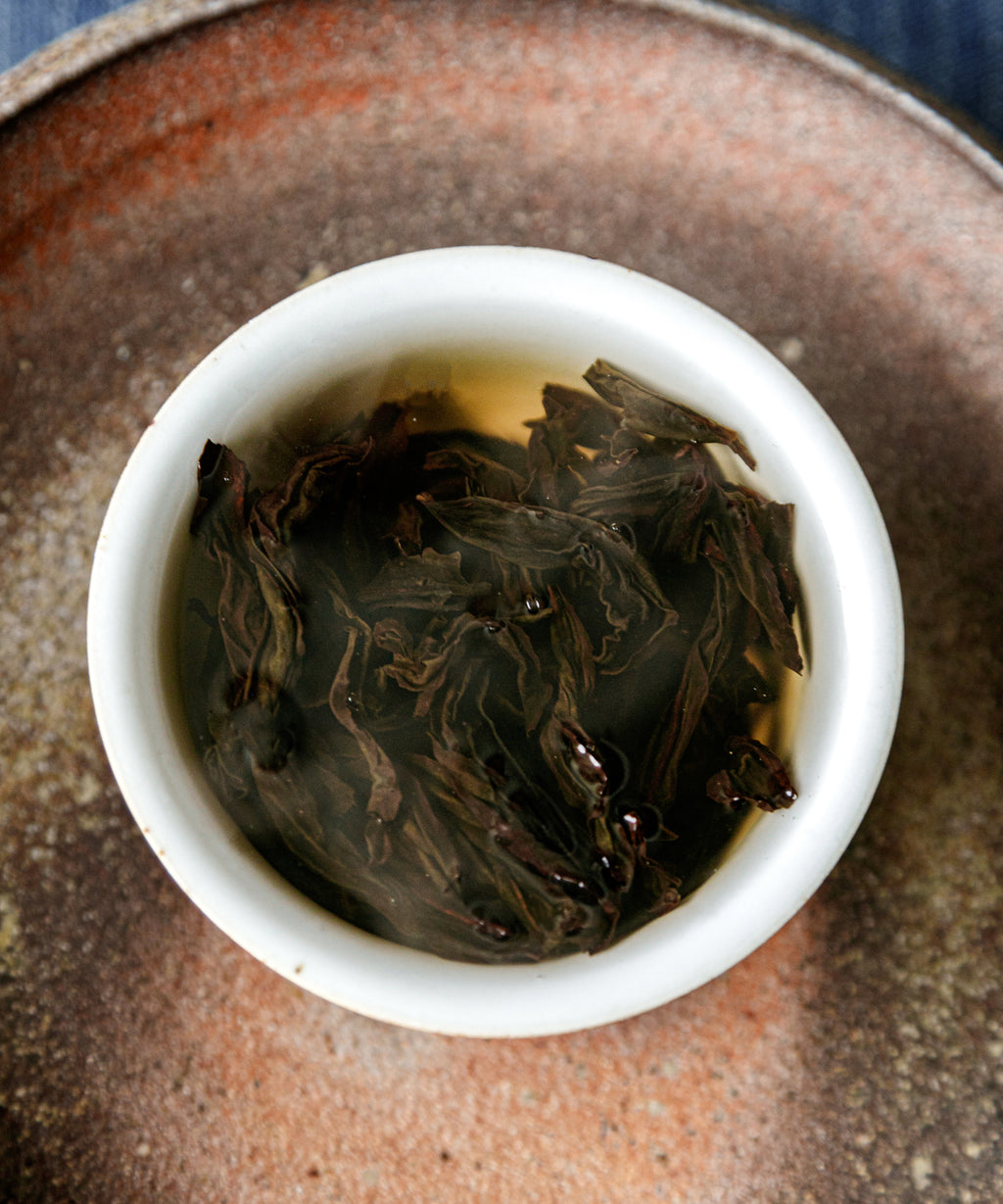 Earth Brown Gaiwan underside, unglazed foot ring revealing Jingdezhen clay body, Wang Xinghua