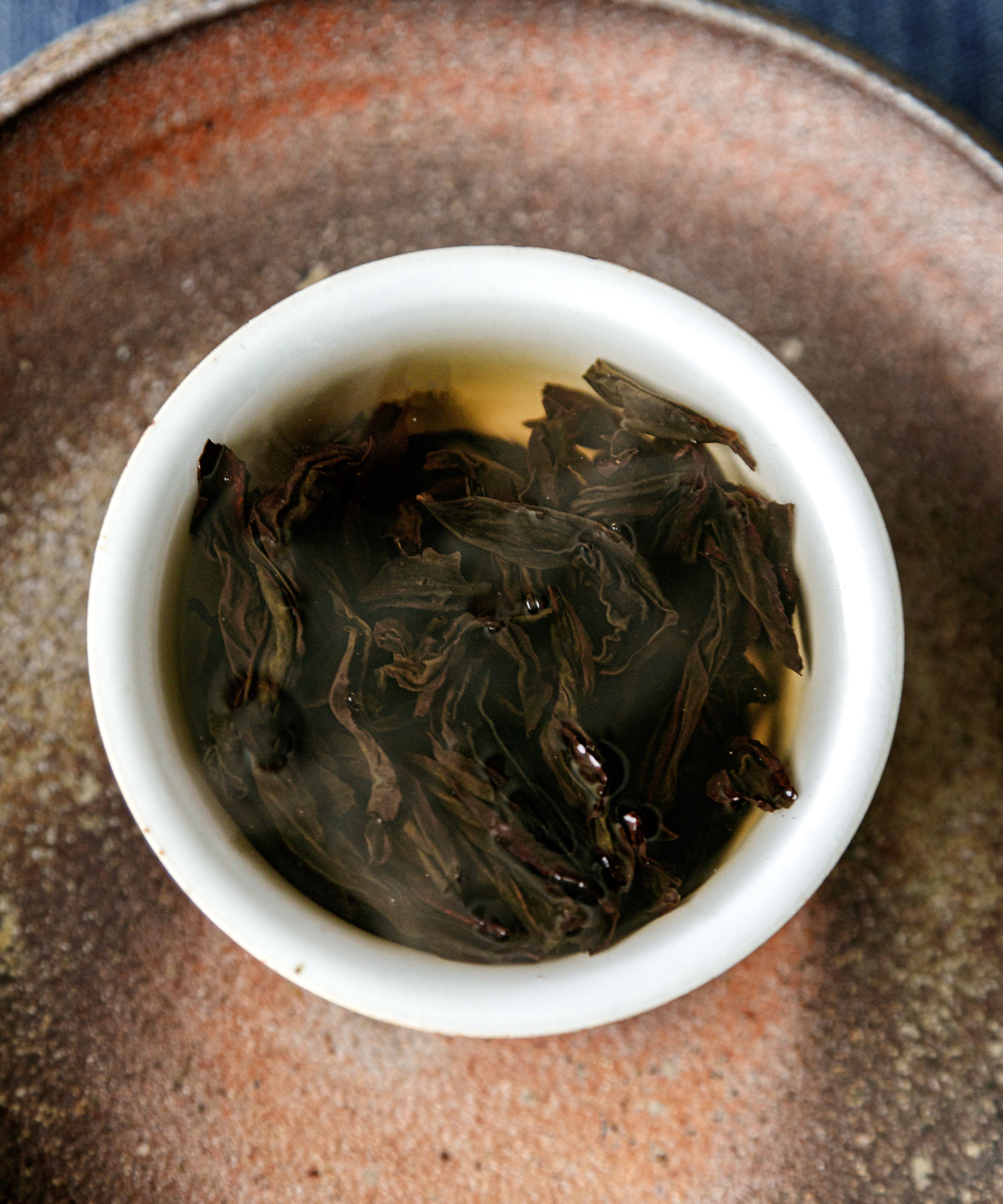 Earth Brown Gaiwan underside, unglazed foot ring revealing Jingdezhen clay body, Wang Xinghua