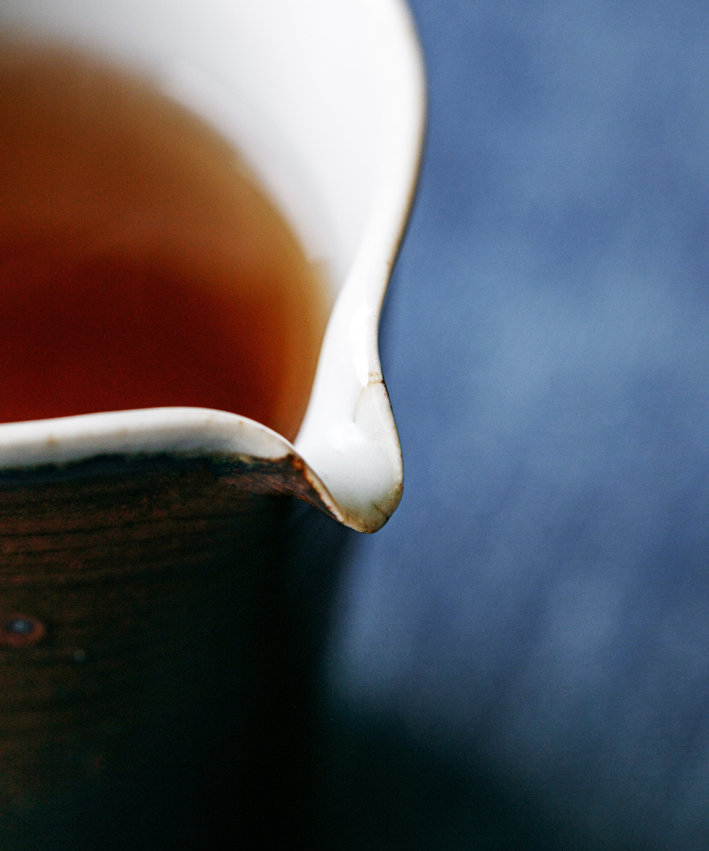 Brown Pitcher Type II