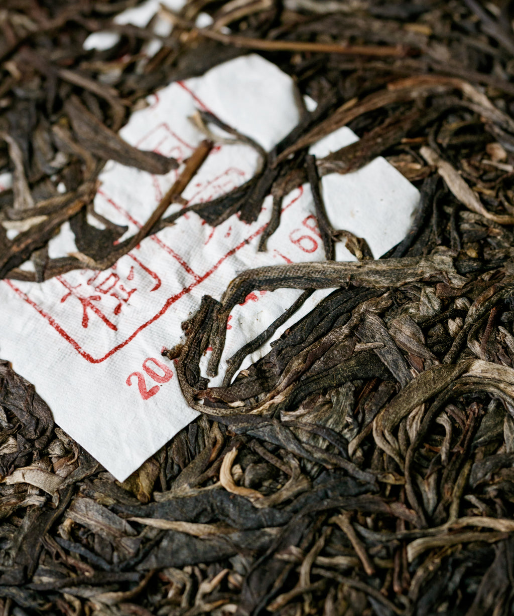 Guafengzhai sheng pu'erh — ancient tree raw pu'erh from the most remote village of Yiwu, Yunnan