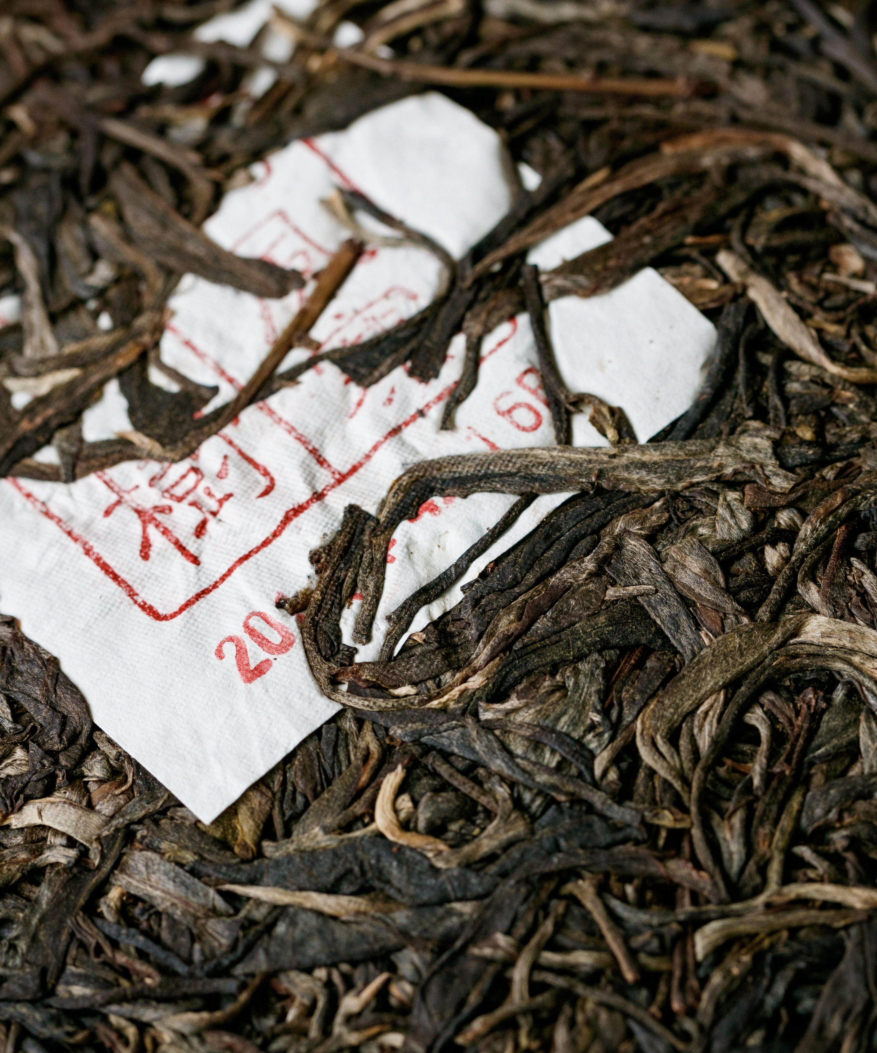 Guafengzhai sheng pu'erh — ancient tree raw pu'erh from the most remote village of Yiwu, Yunnan