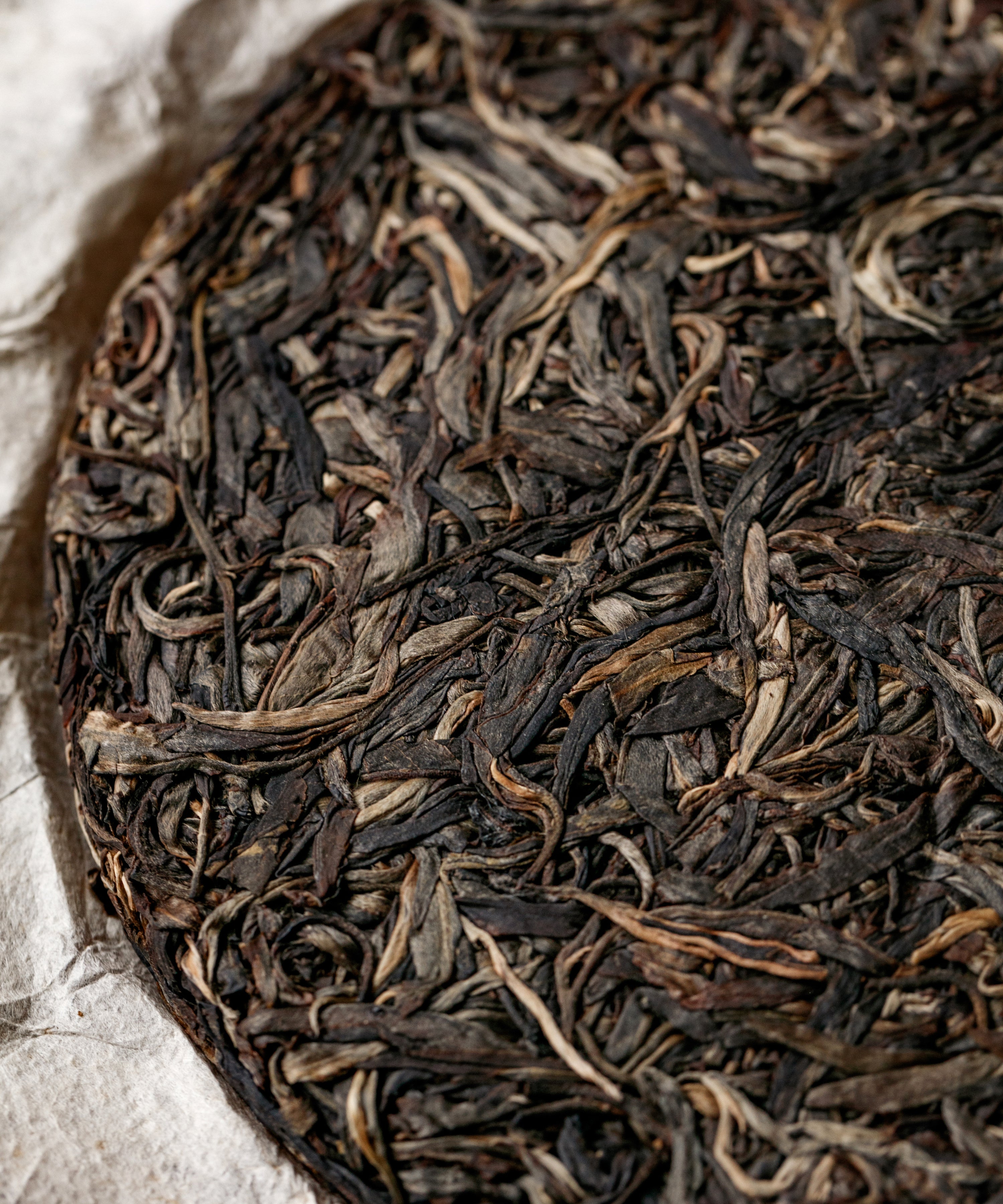 Brewing Secret Realm Mijing — rare ancient tree sheng pu'erh, Lincang, Yunnan