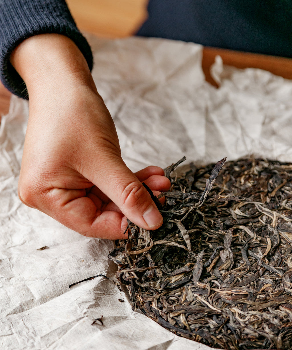 Secret Realm Mijing dry cake — pure material sheng pu'erh from a dozen ancient trees, Lincang