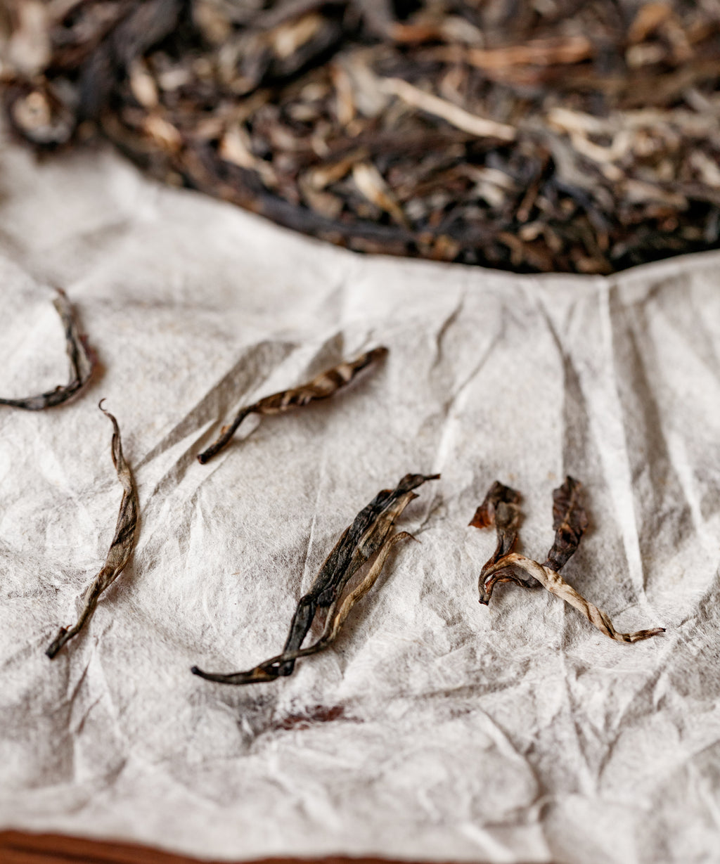 Secret Realm Mijing liquor — wild forest, rock sugar, and wild honey sheng pu'erh, Lincang