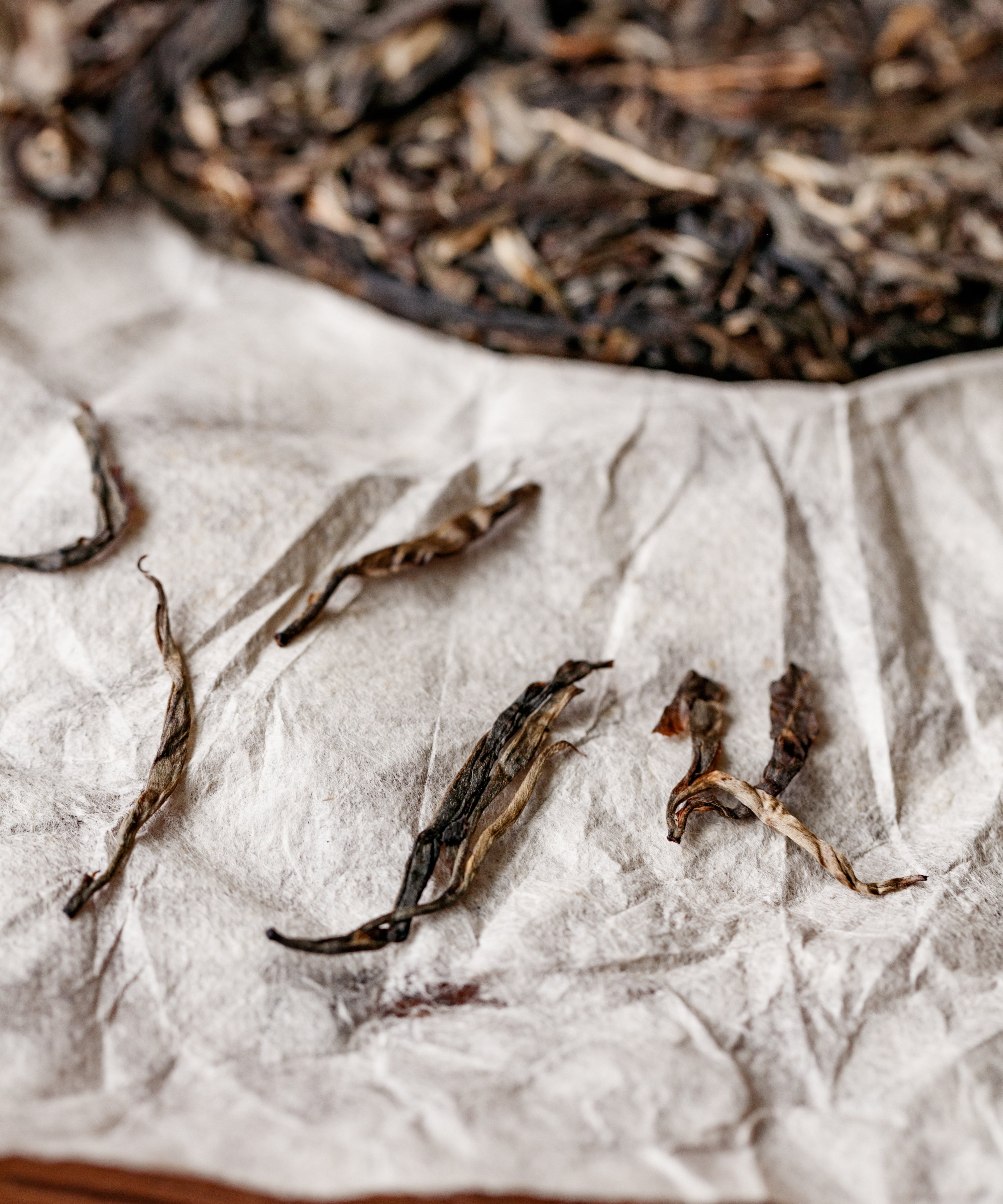Secret Realm Mijing liquor — wild forest, rock sugar, and wild honey sheng pu'erh, Lincang