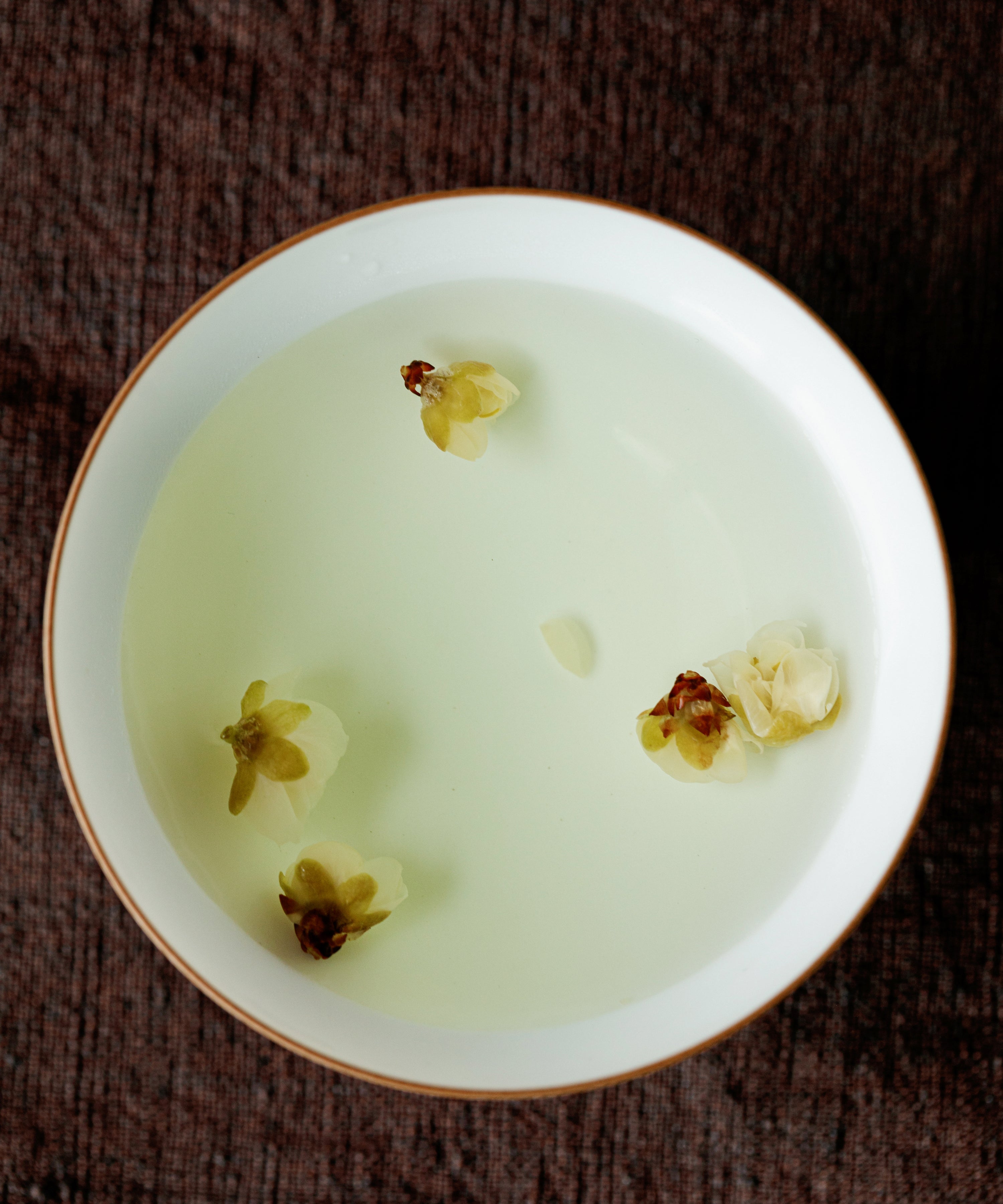 Brewed plum blossom tea in a white cup with blossoms floating on the surface