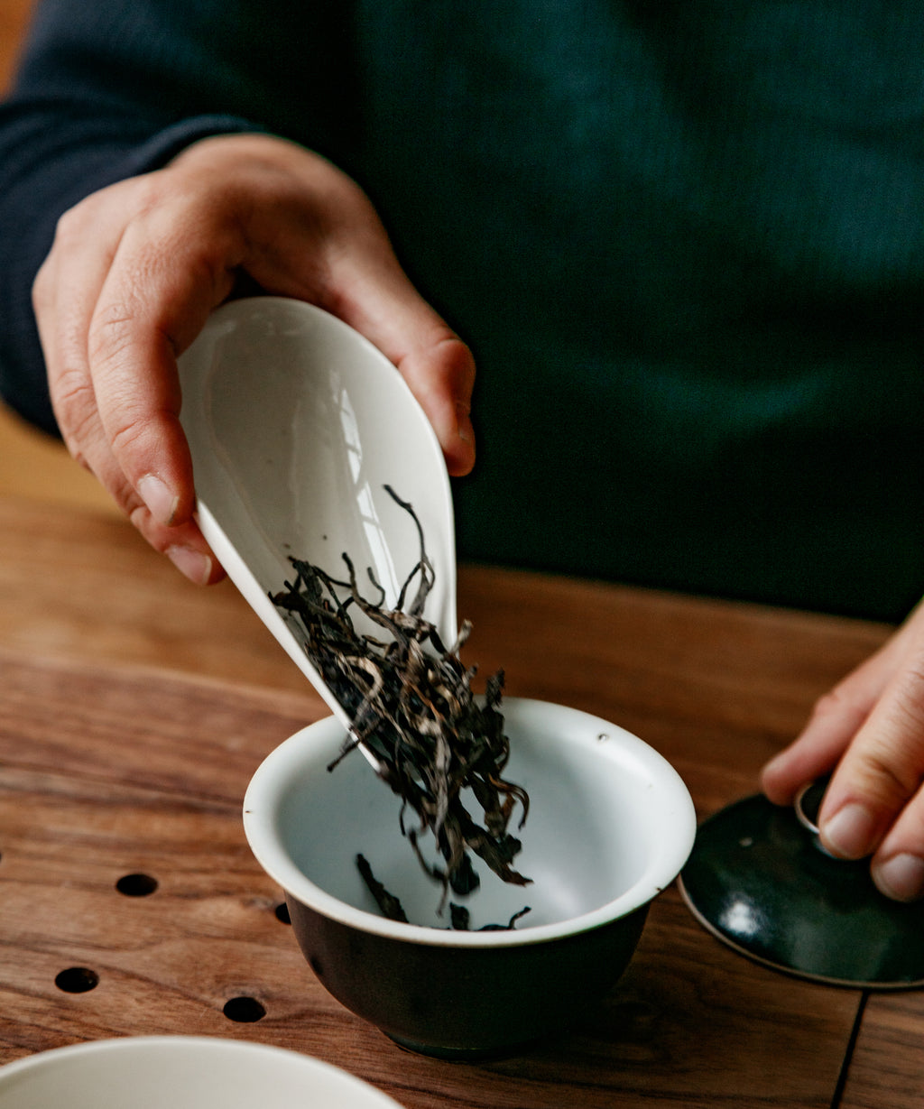 Brewing Secret Realm Mijing — rare ancient tree sheng pu'erh, Lincang, Yunnan