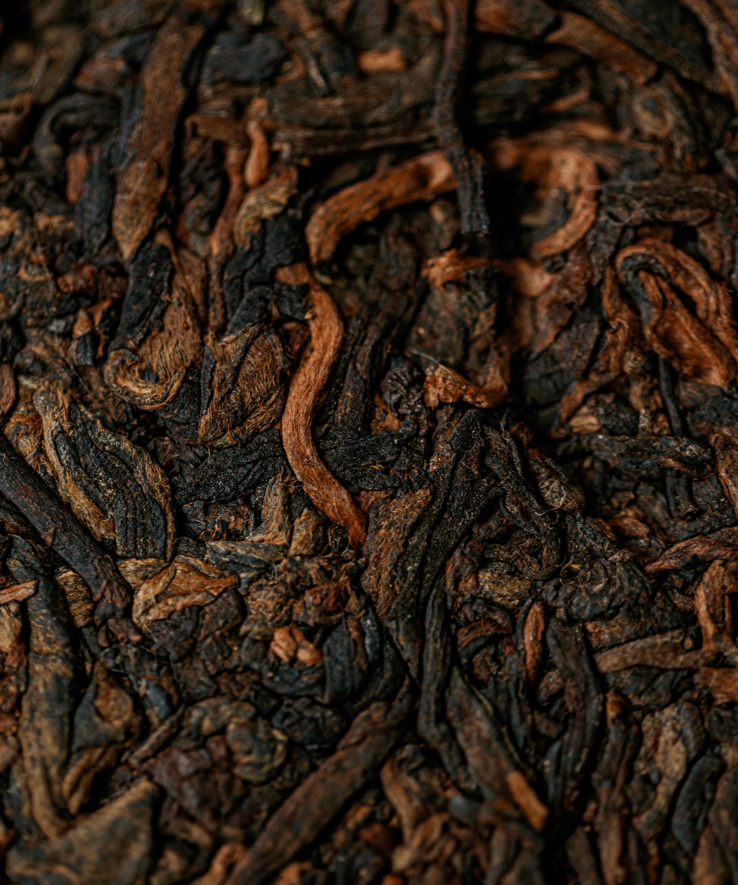 Seeds of Virtue shou pu'erh by Tang Wang — Jinggu and Bulang Mountain blend, Yunnan