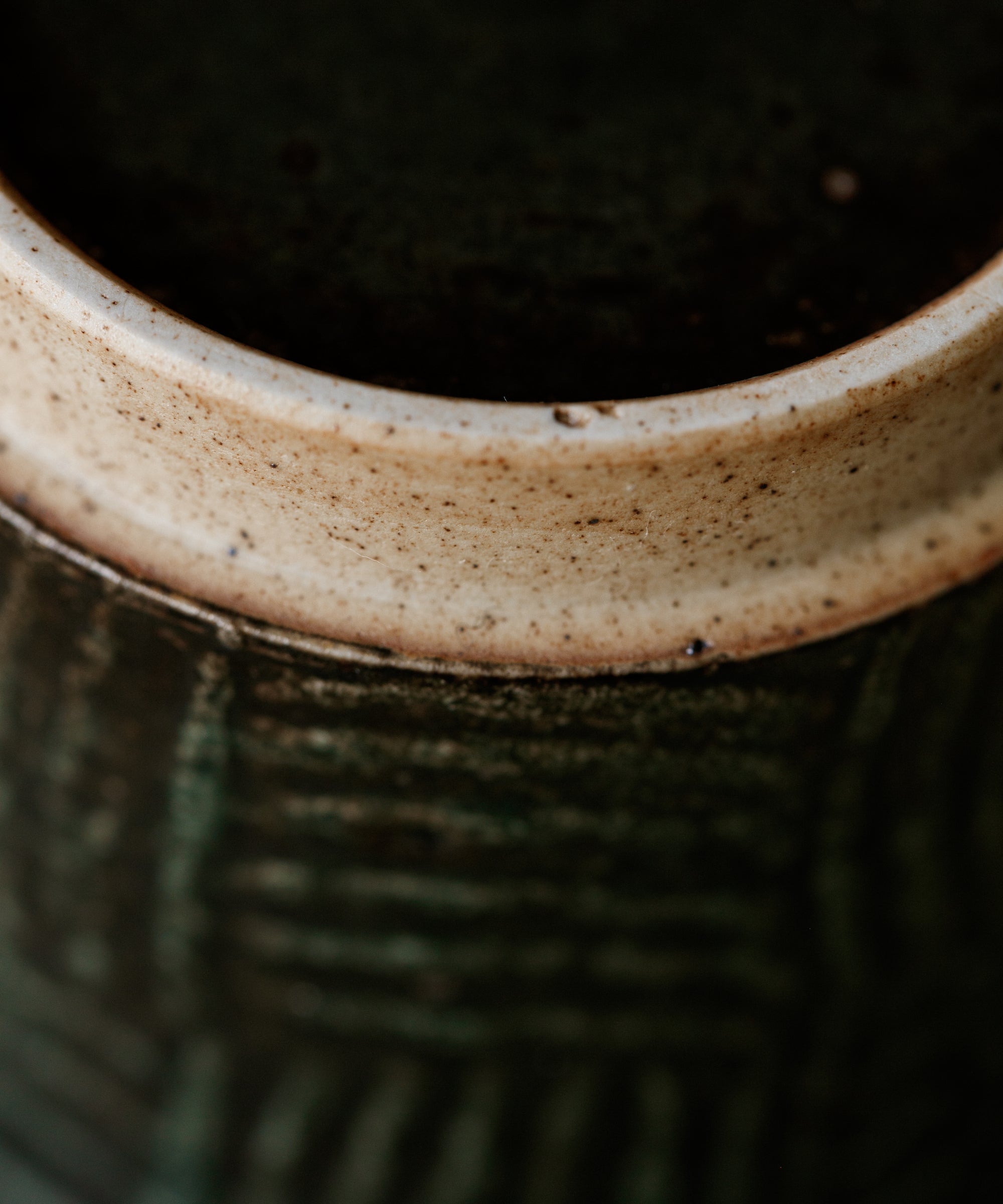 Space Green Gaiwan Type III