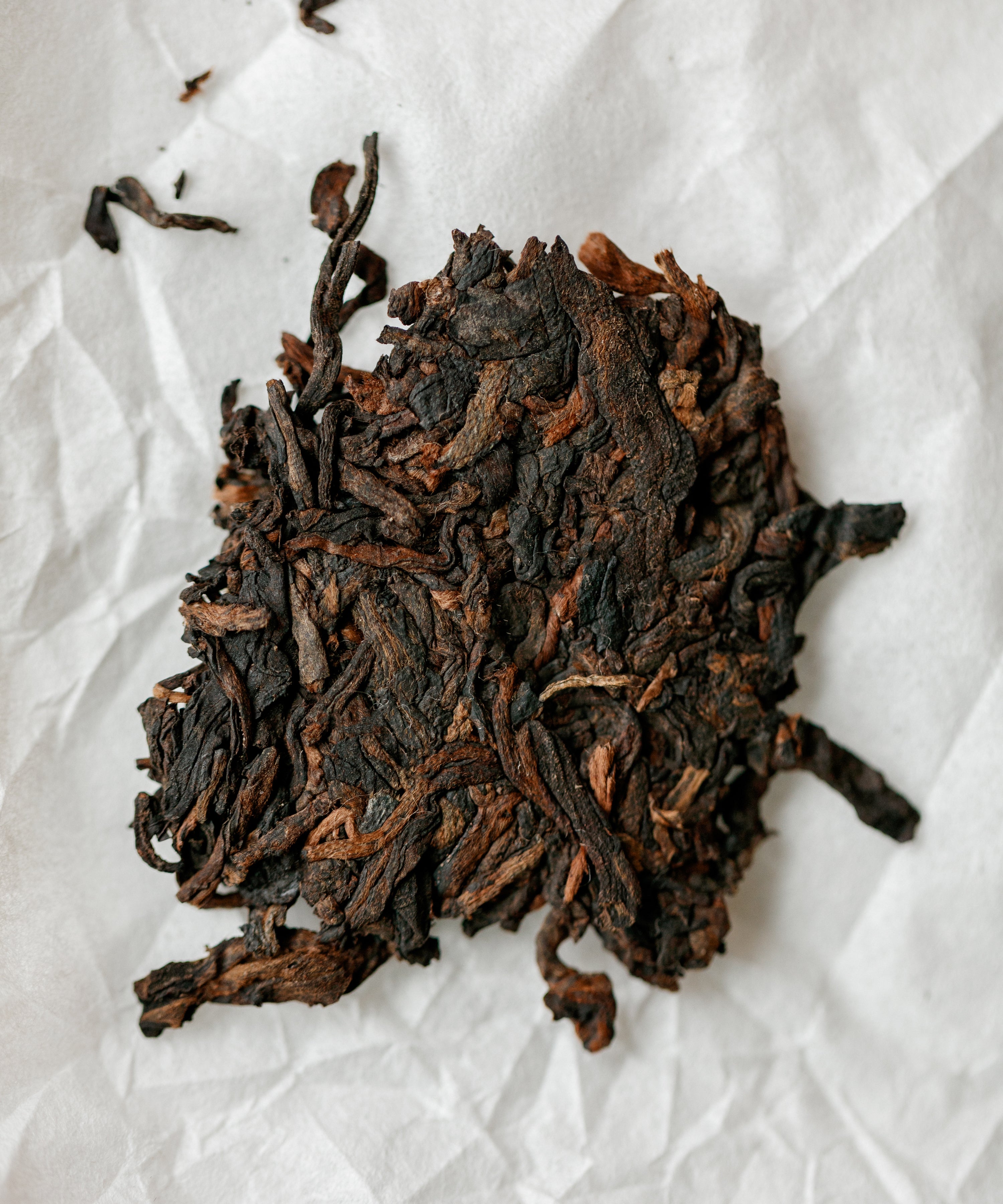 Brewing Seeds of Virtue — Tang Wang's shou pu'erh fermented at Jinggu Tea Factory, Yunnan
