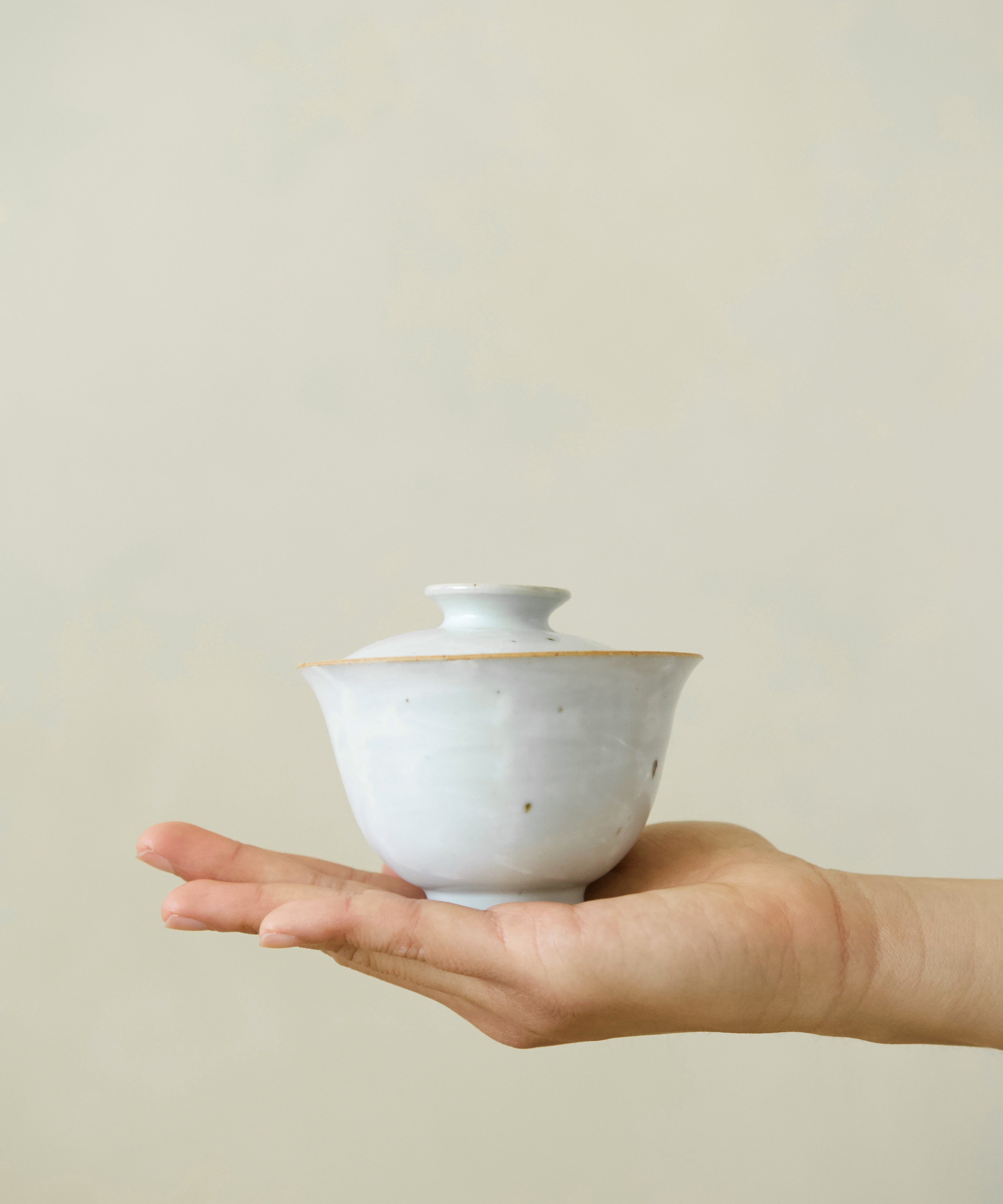 Gaiwan No. 6