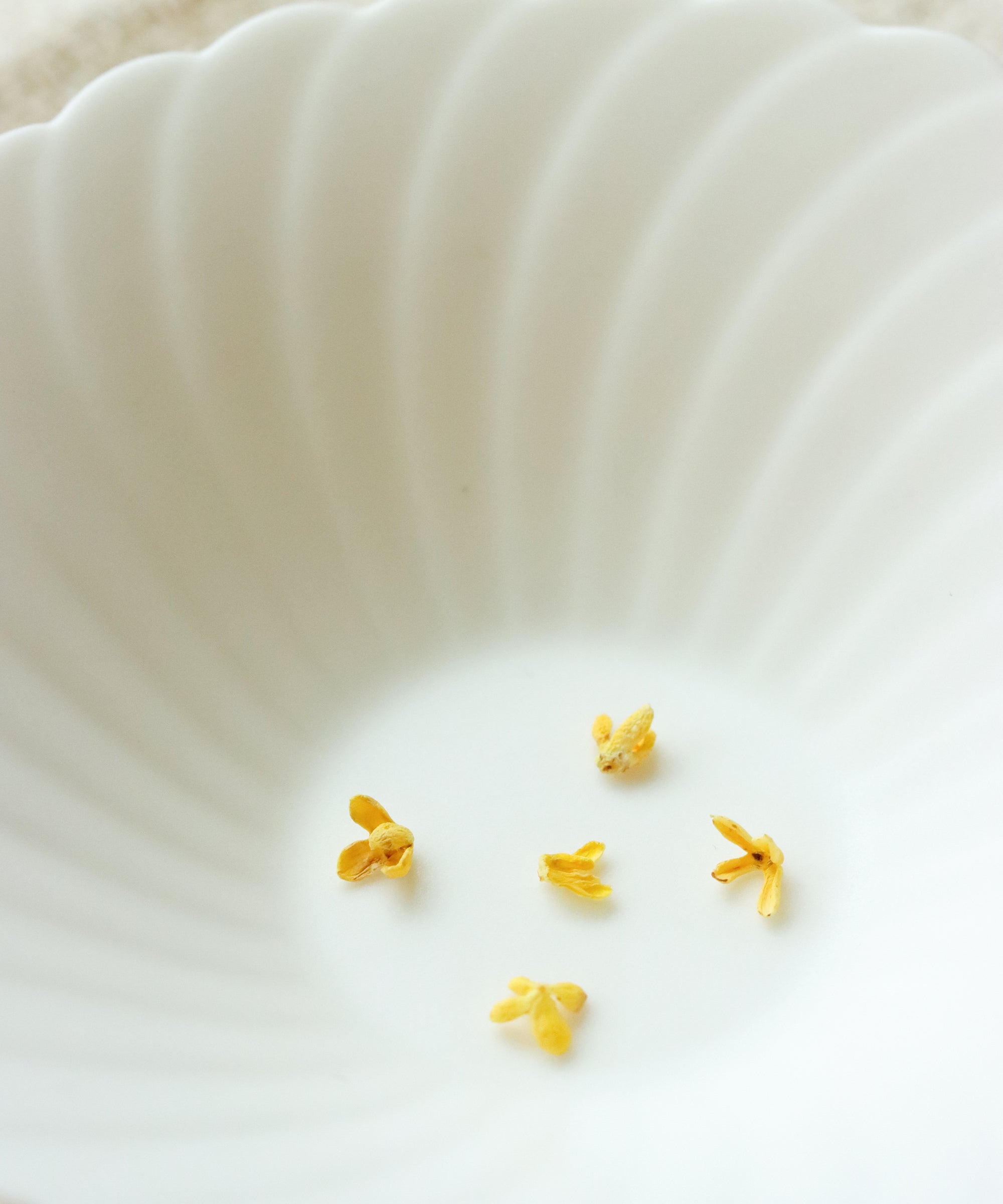 Gold Osmanthus flowers styled for tea service - centuries-old Anxi osmanthus trees
