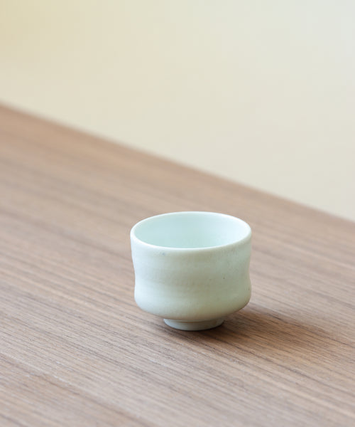 Arctic Celadon 03