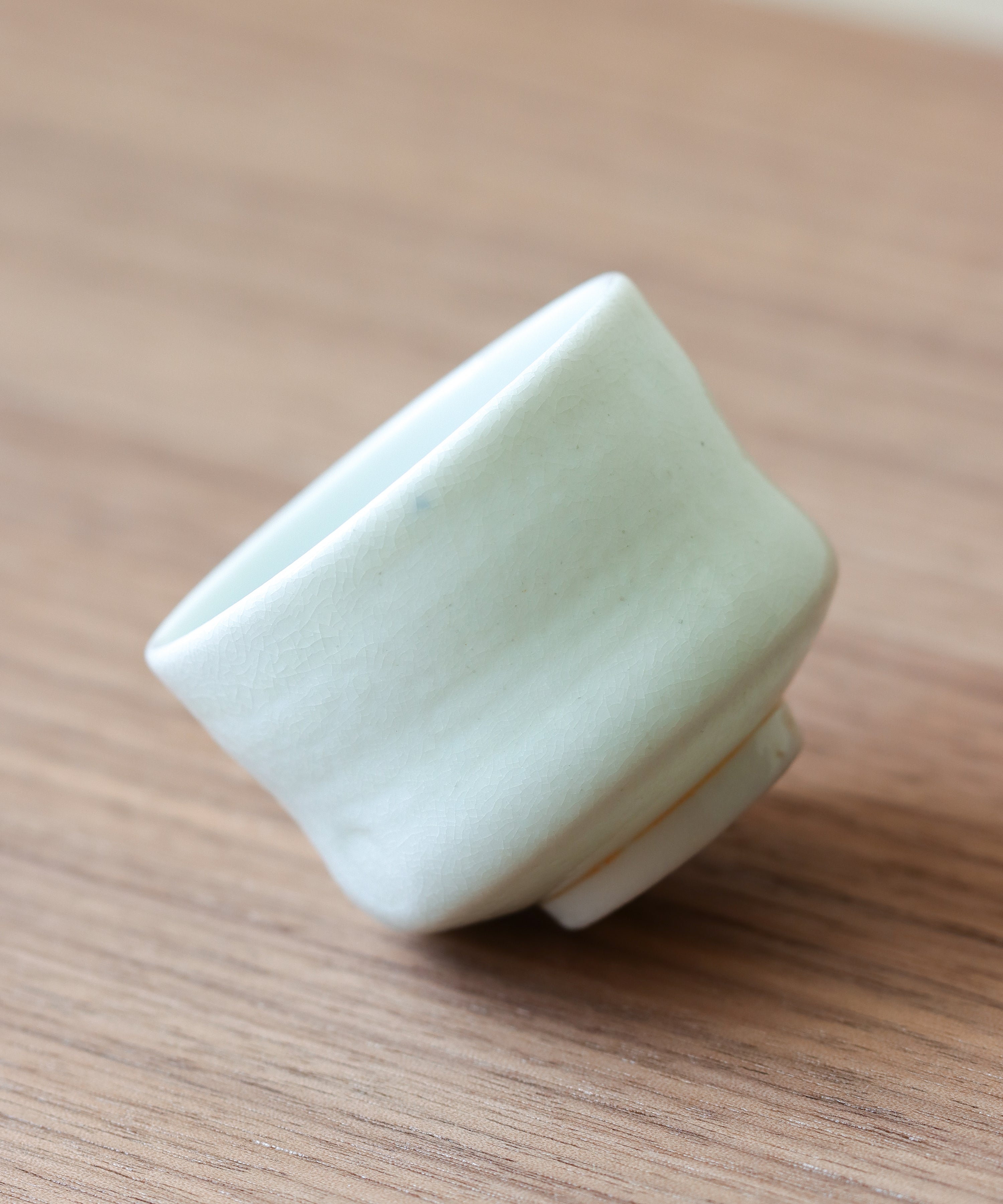 Arctic Celadon 03