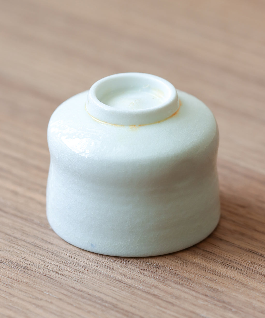 Arctic Celadon 03