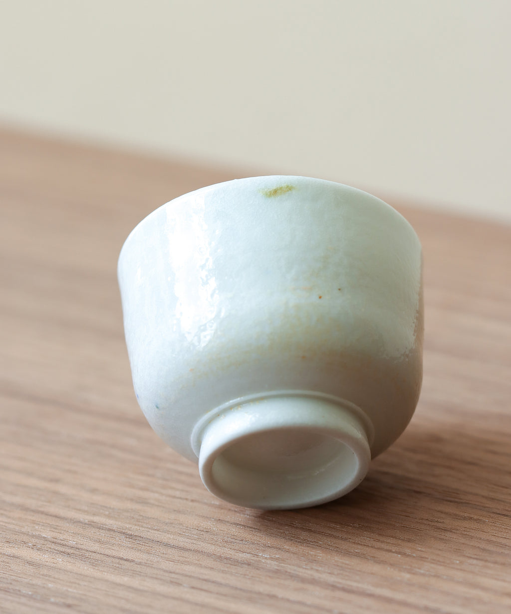 Arctic Celadon 04